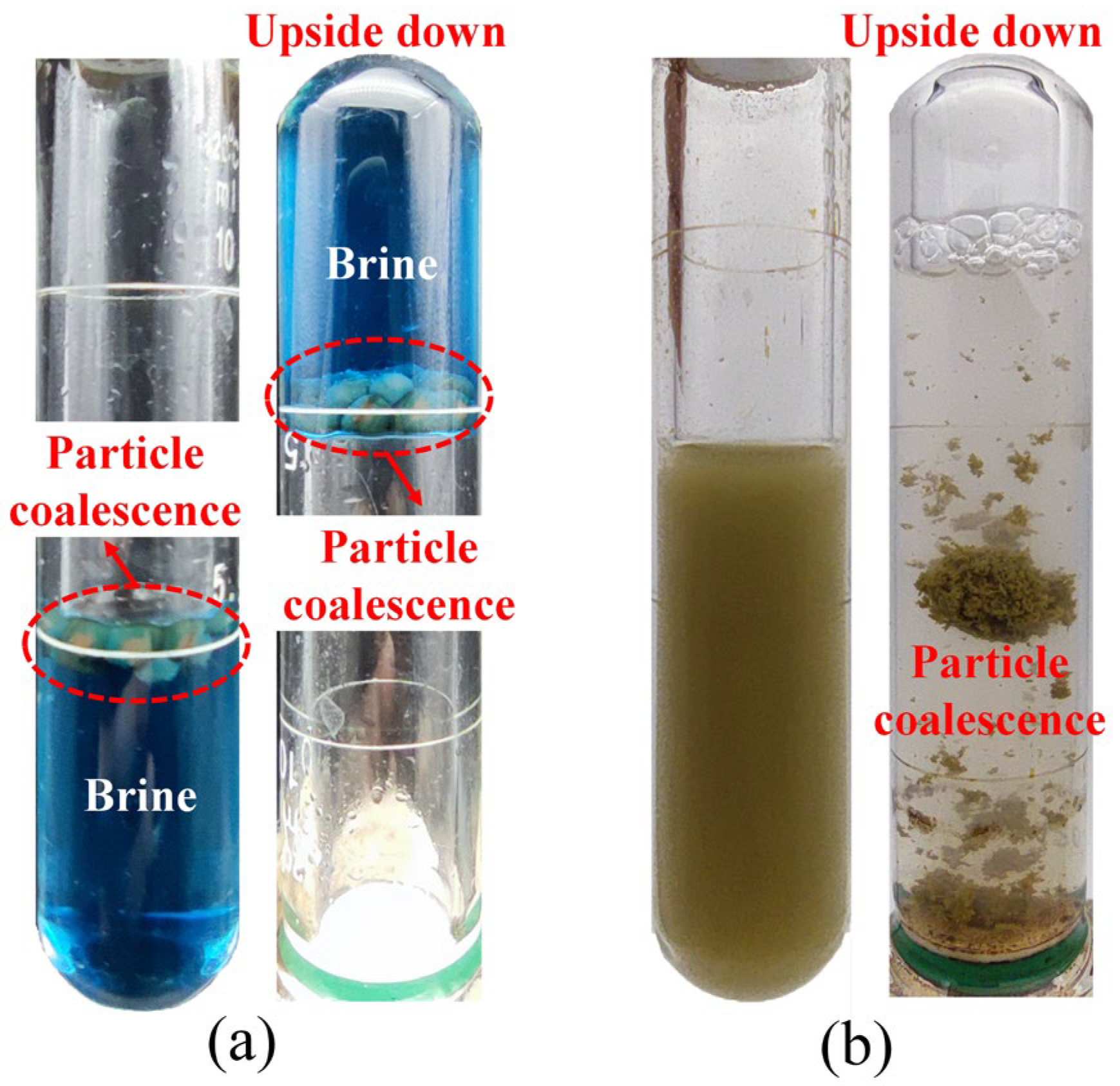 Processes 11 03044 g007