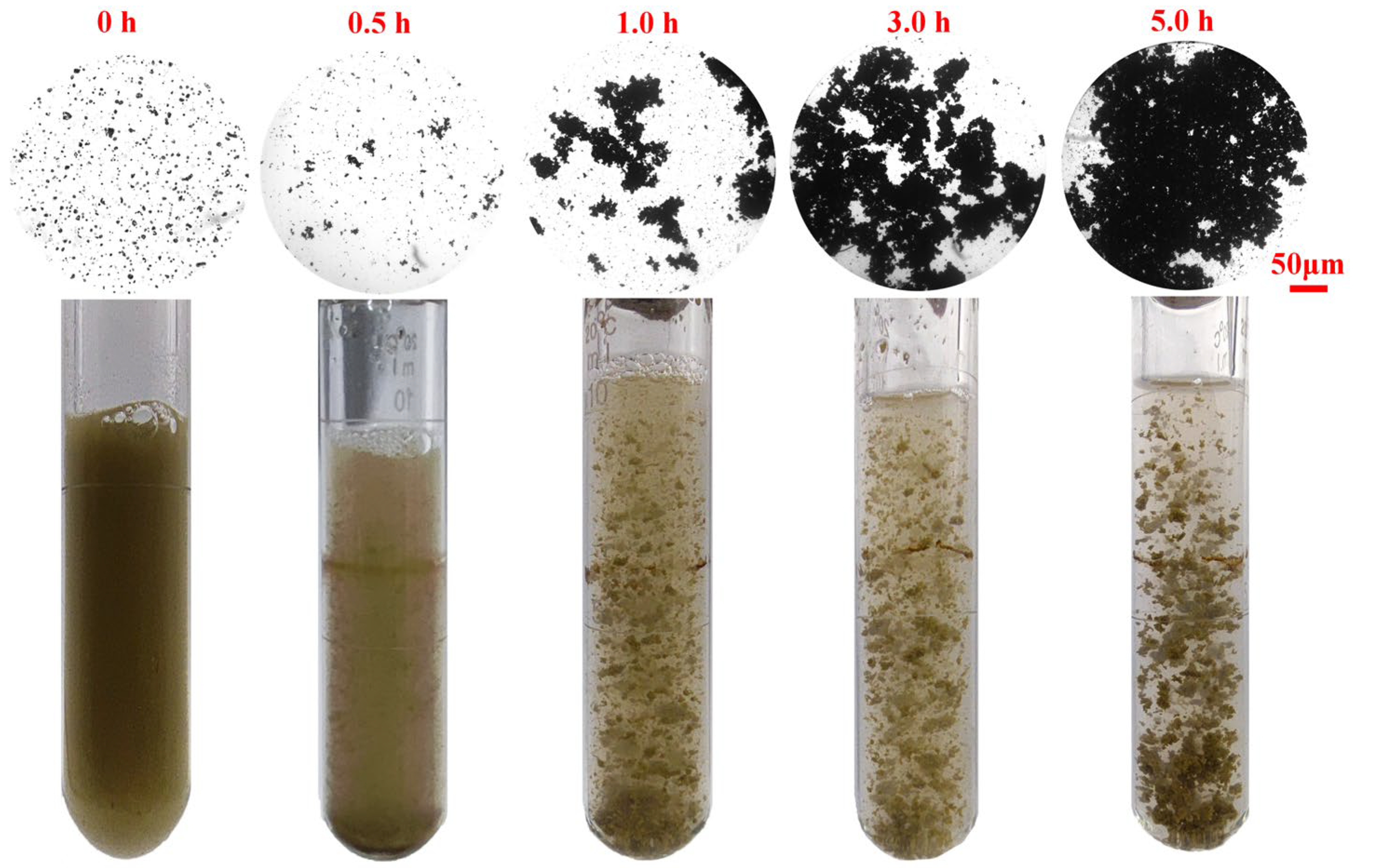 Processes 11 03044 g010