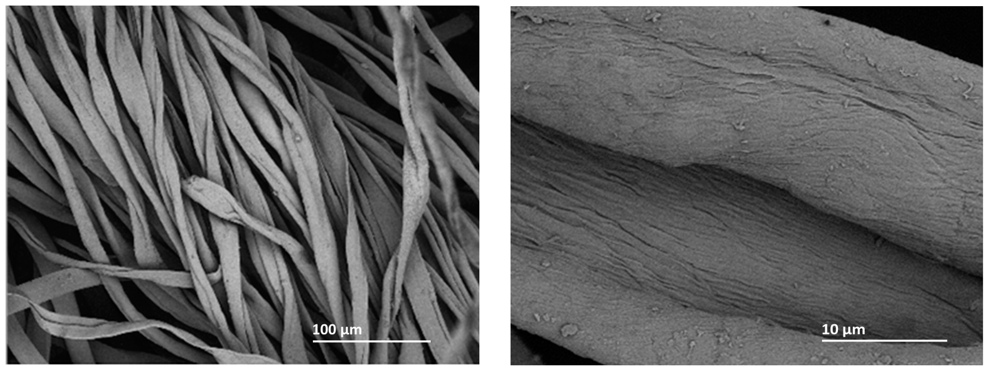 Processes 11 03056 g009