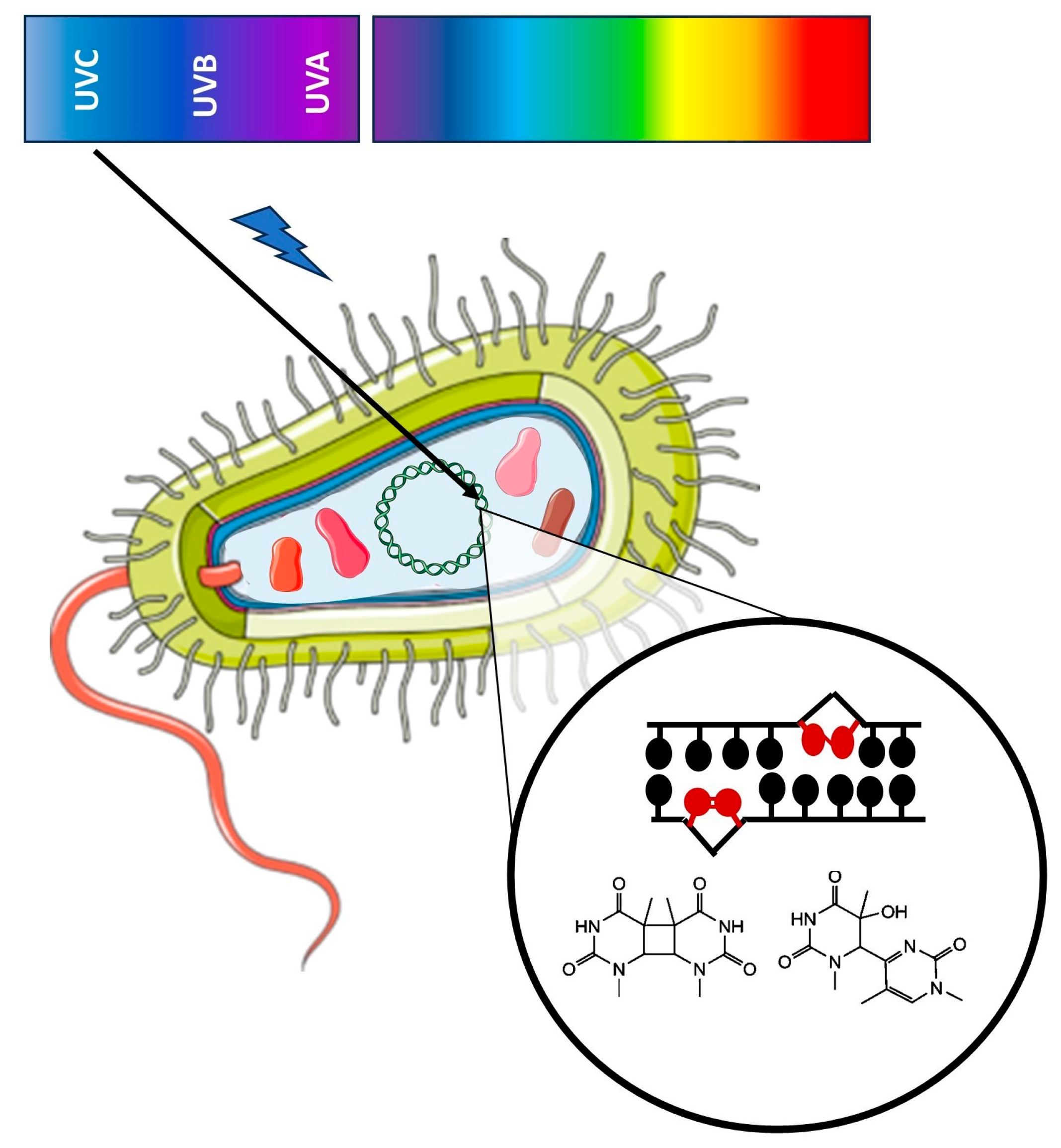 Processes 11 03074 g002
