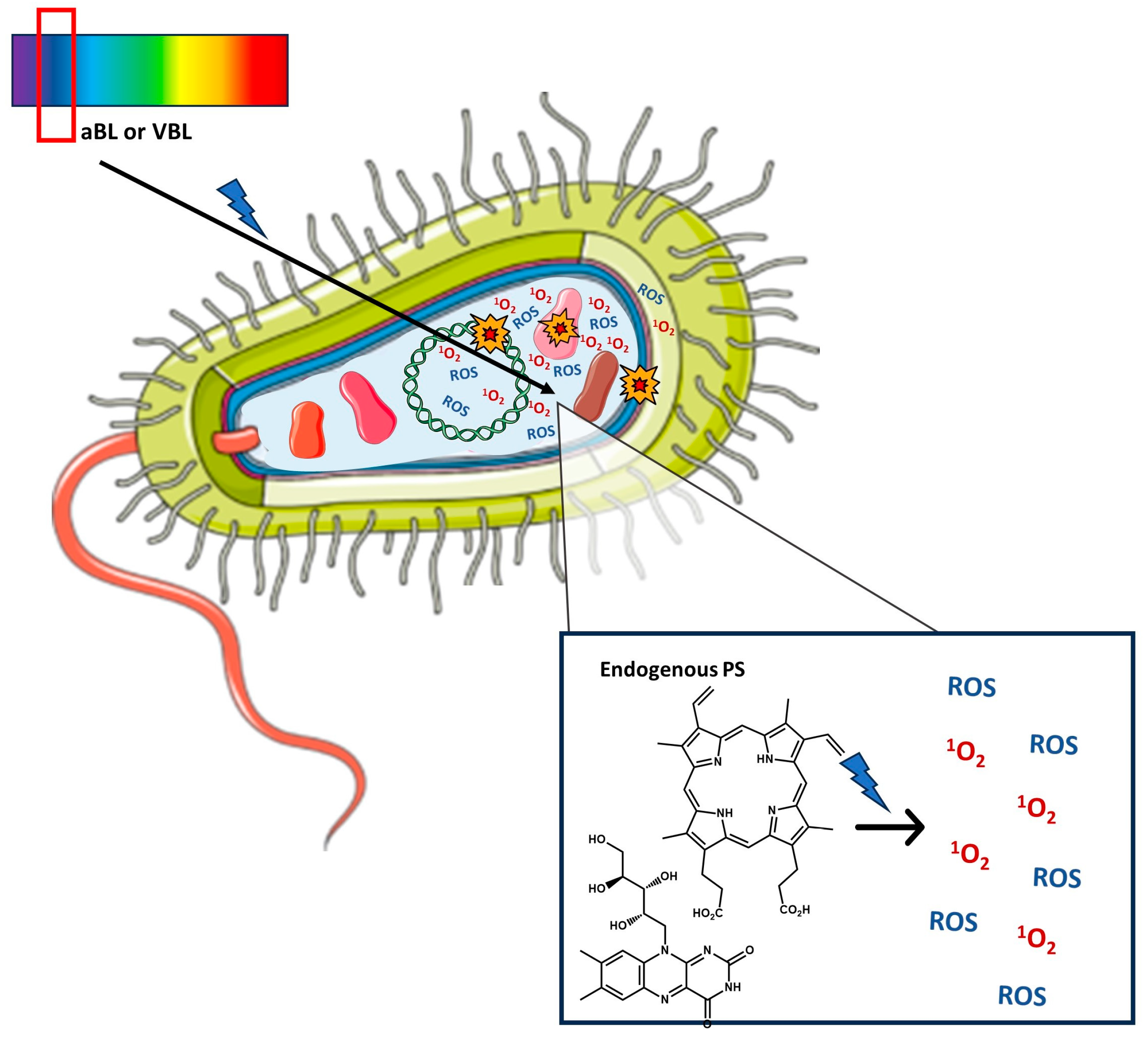Processes 11 03074 g003