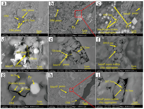 Occurrence Characteristics of Chang 7 Shale Oil from the Longdong Area ...
