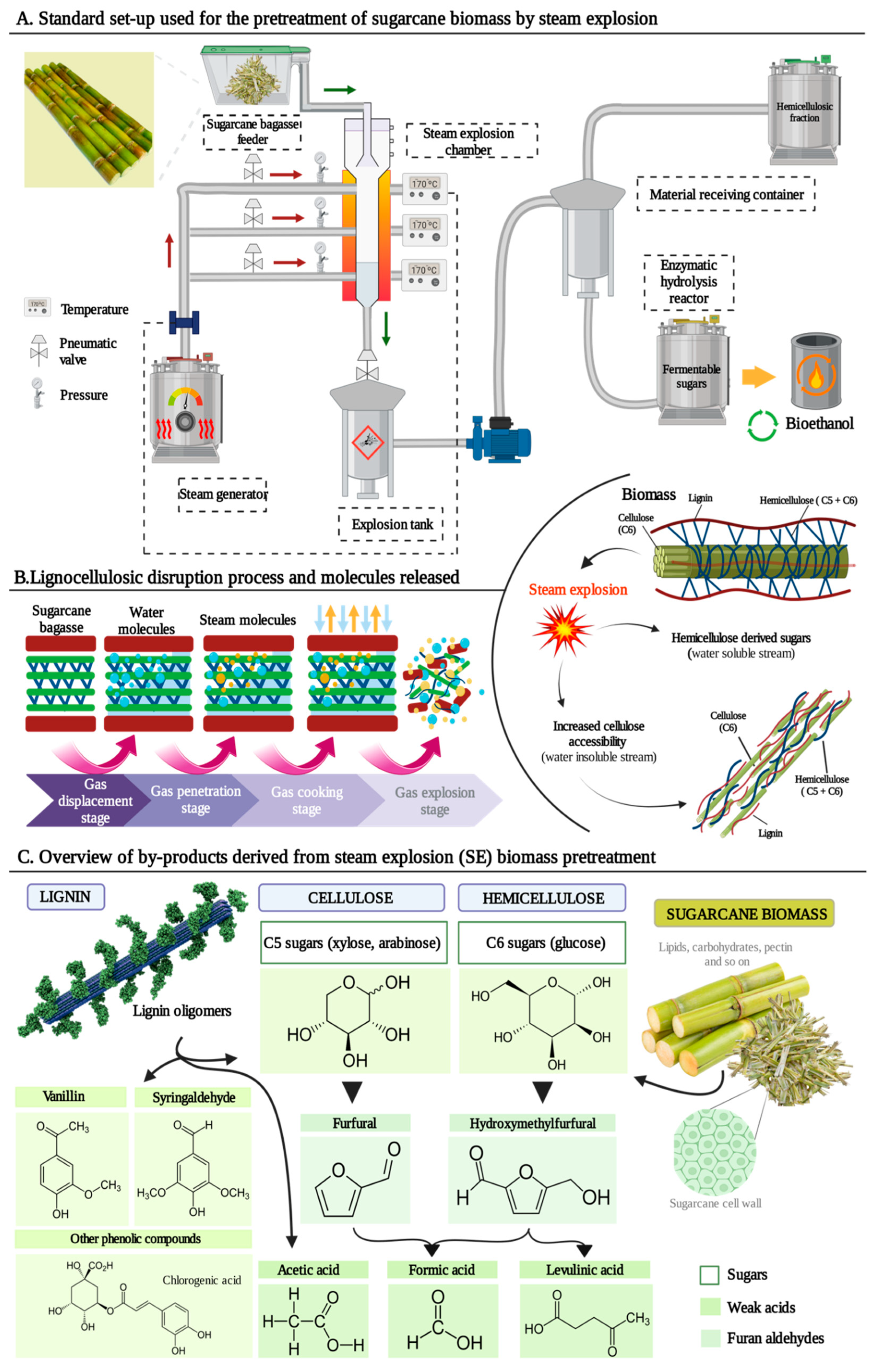 Processes 11 03116 g001