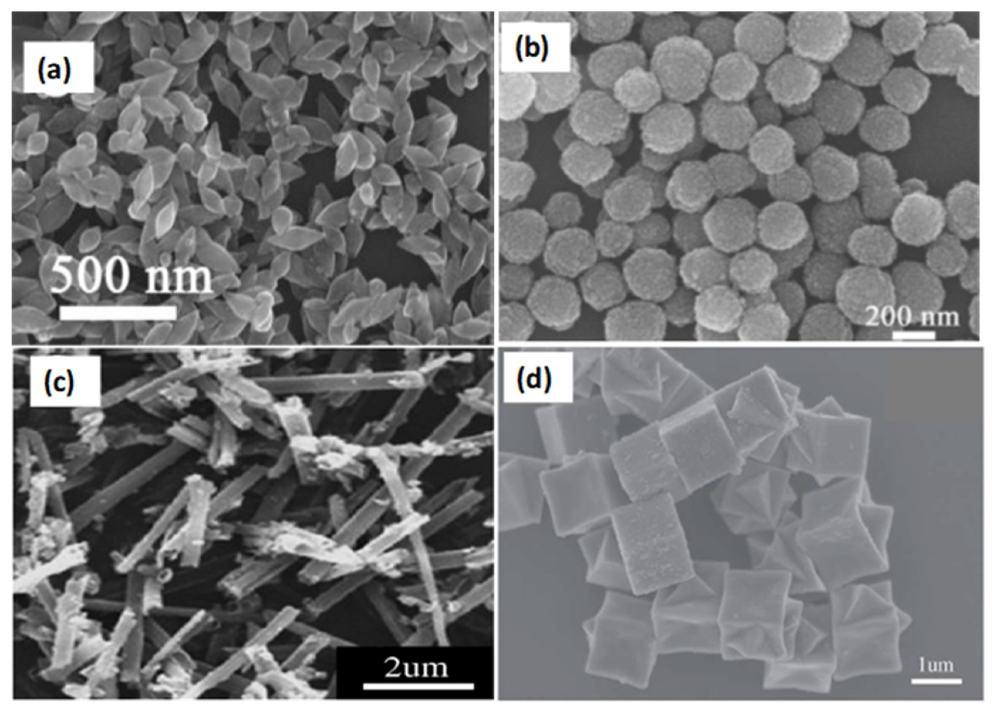 Processes 11 03122 g004