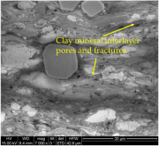 Processes 11 03131 i007 Processes 11 03131 i007