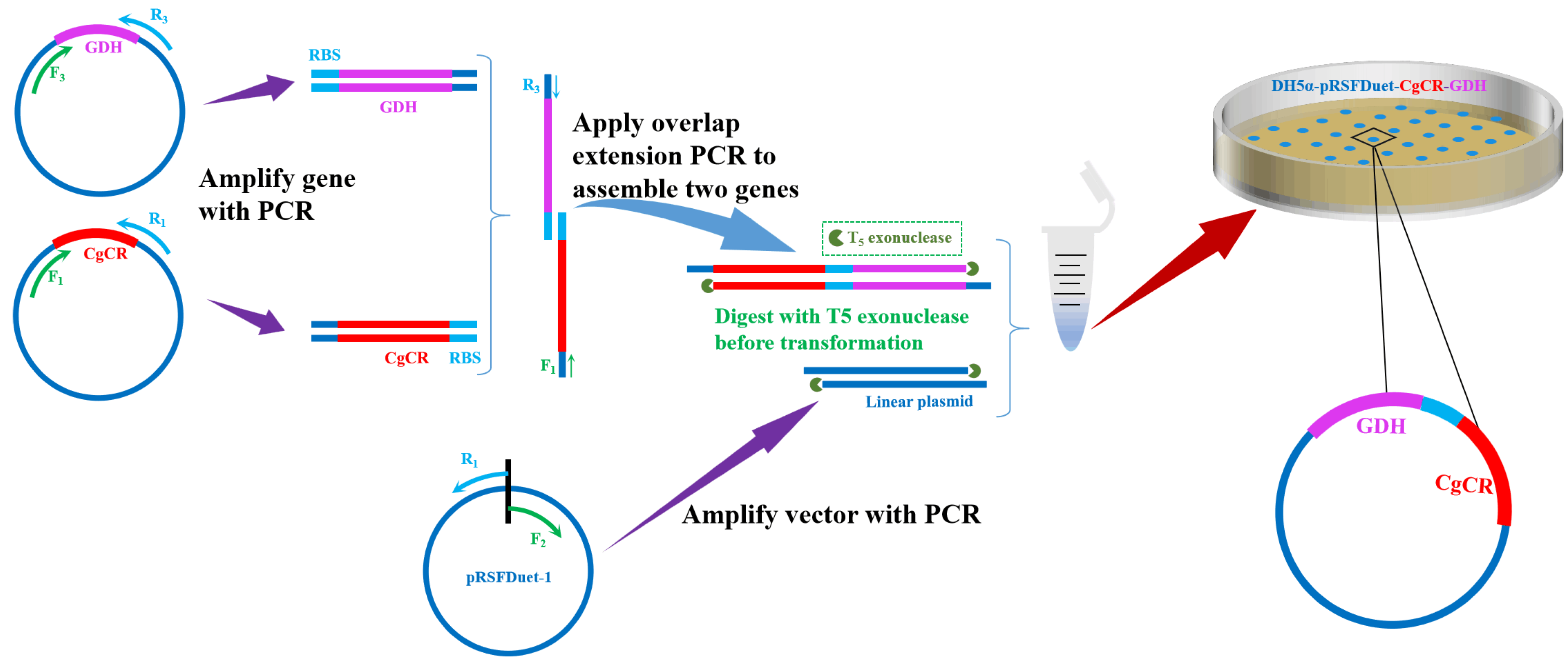 Processes 11 03144 g002