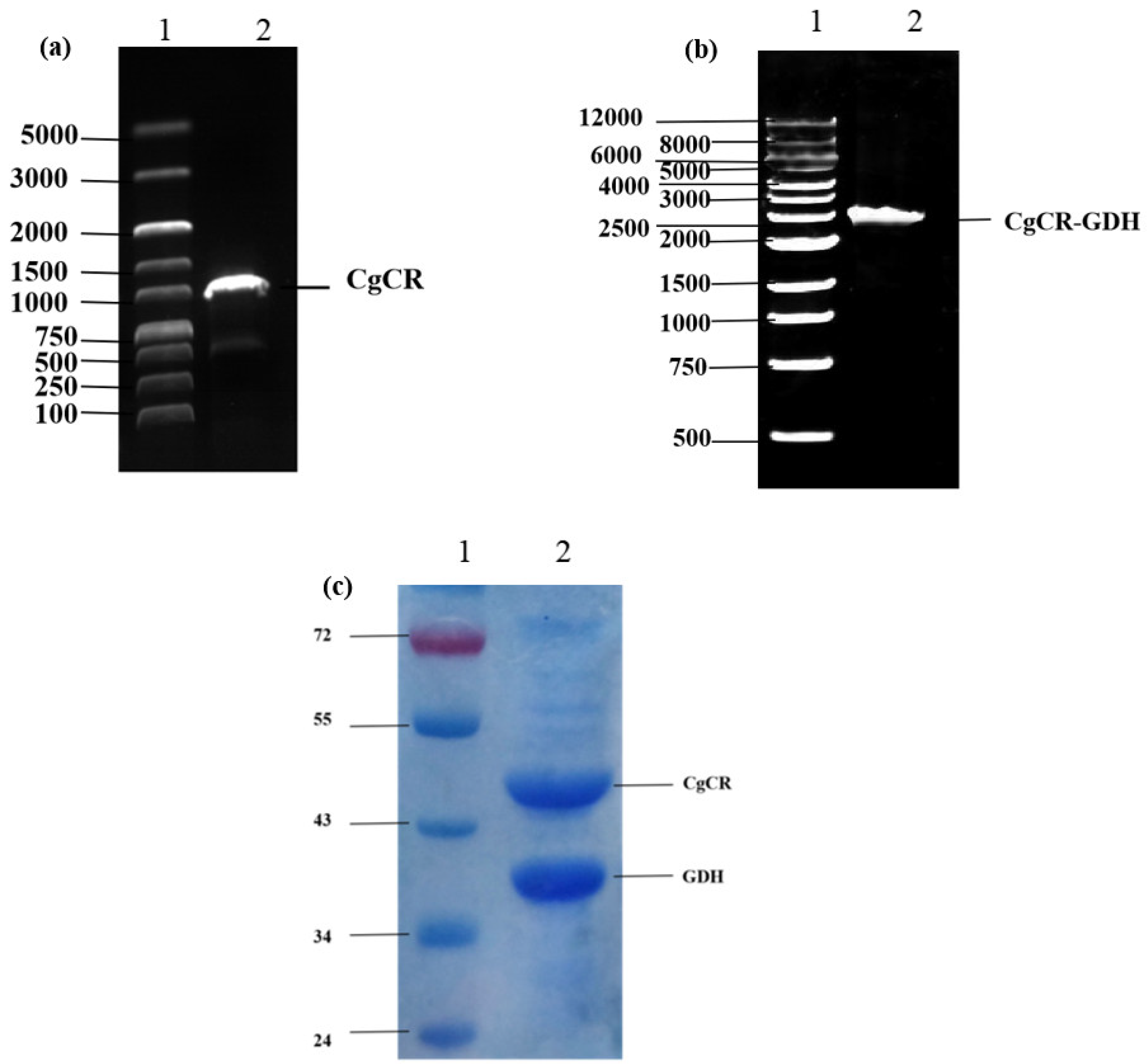 Processes 11 03144 g003