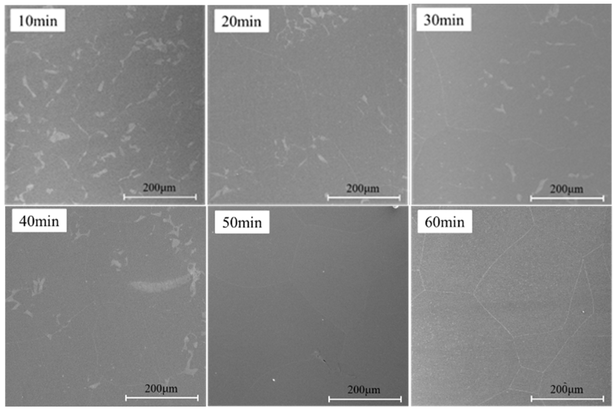 Processes 11 03176 g017