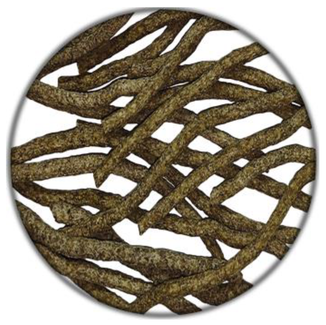 Processes 11 03182 g002