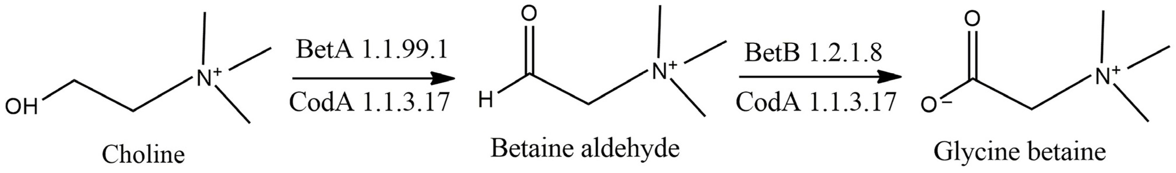 Processes 11 03184 g001 Processes 11 03184 g001