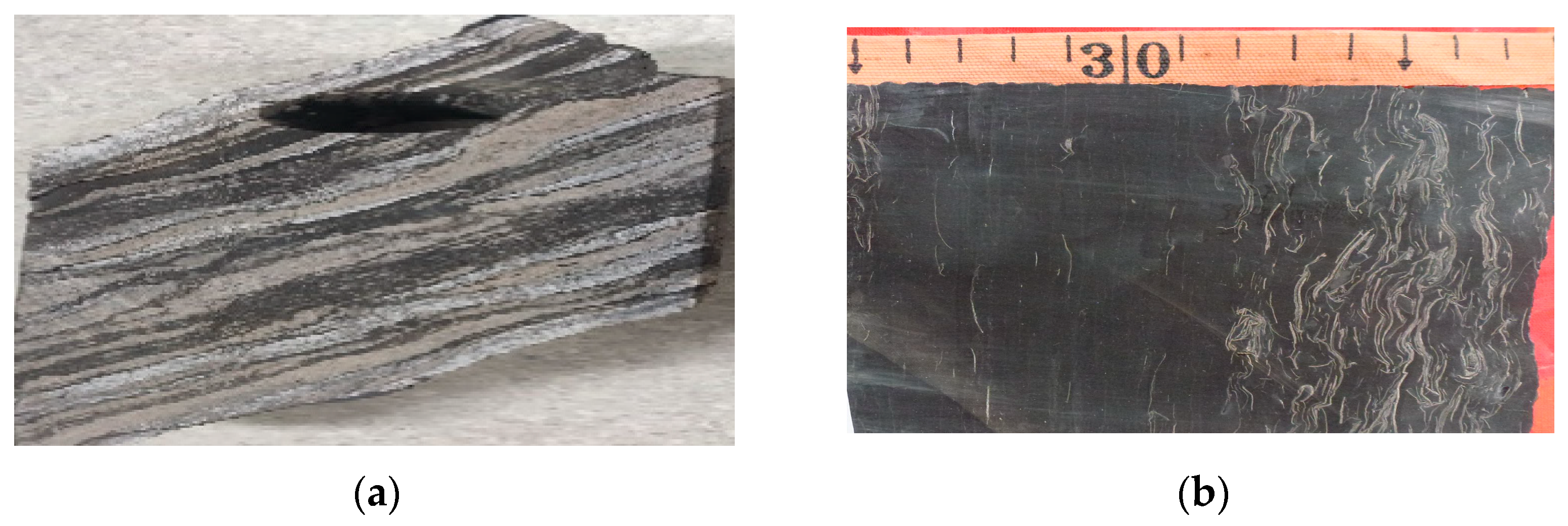 Processes 11 03190 g001