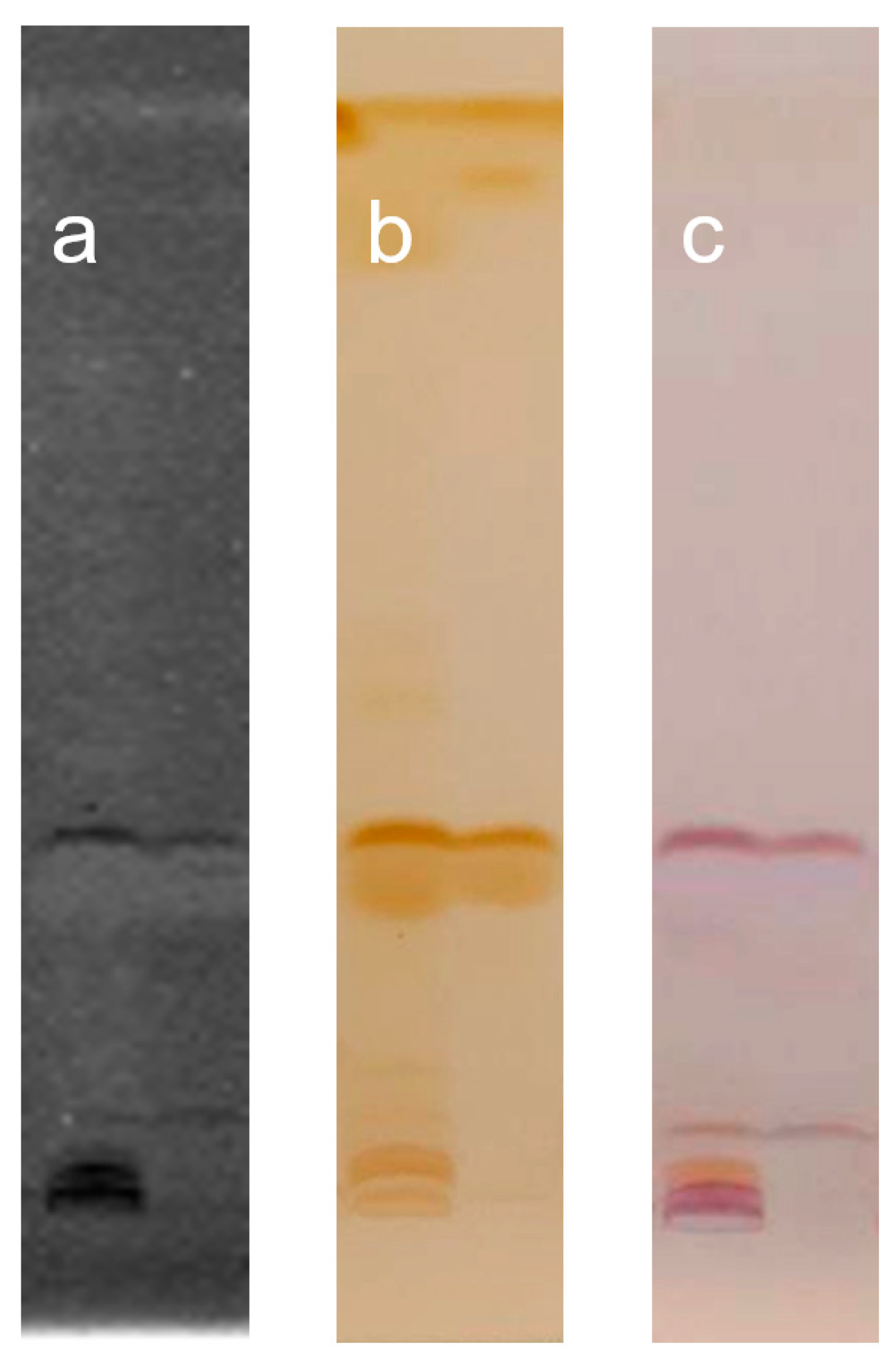 Processes 11 03203 g005