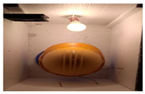 Processes 11 03219 i007