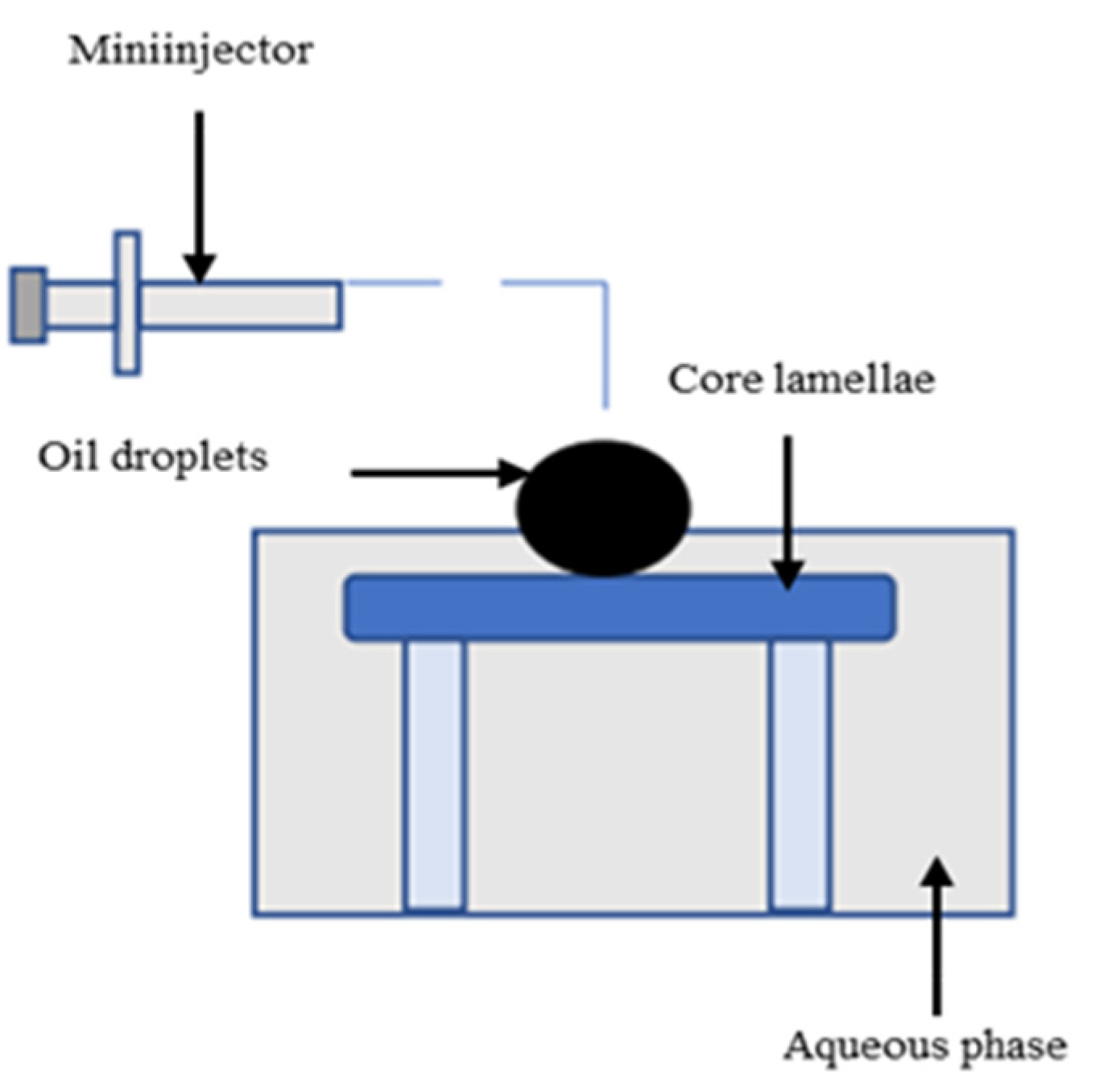 Processes 11 03228 g003