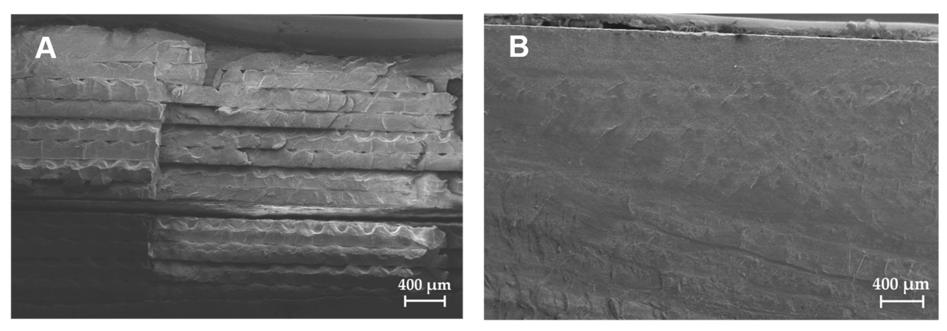 Processes 11 03231 g003