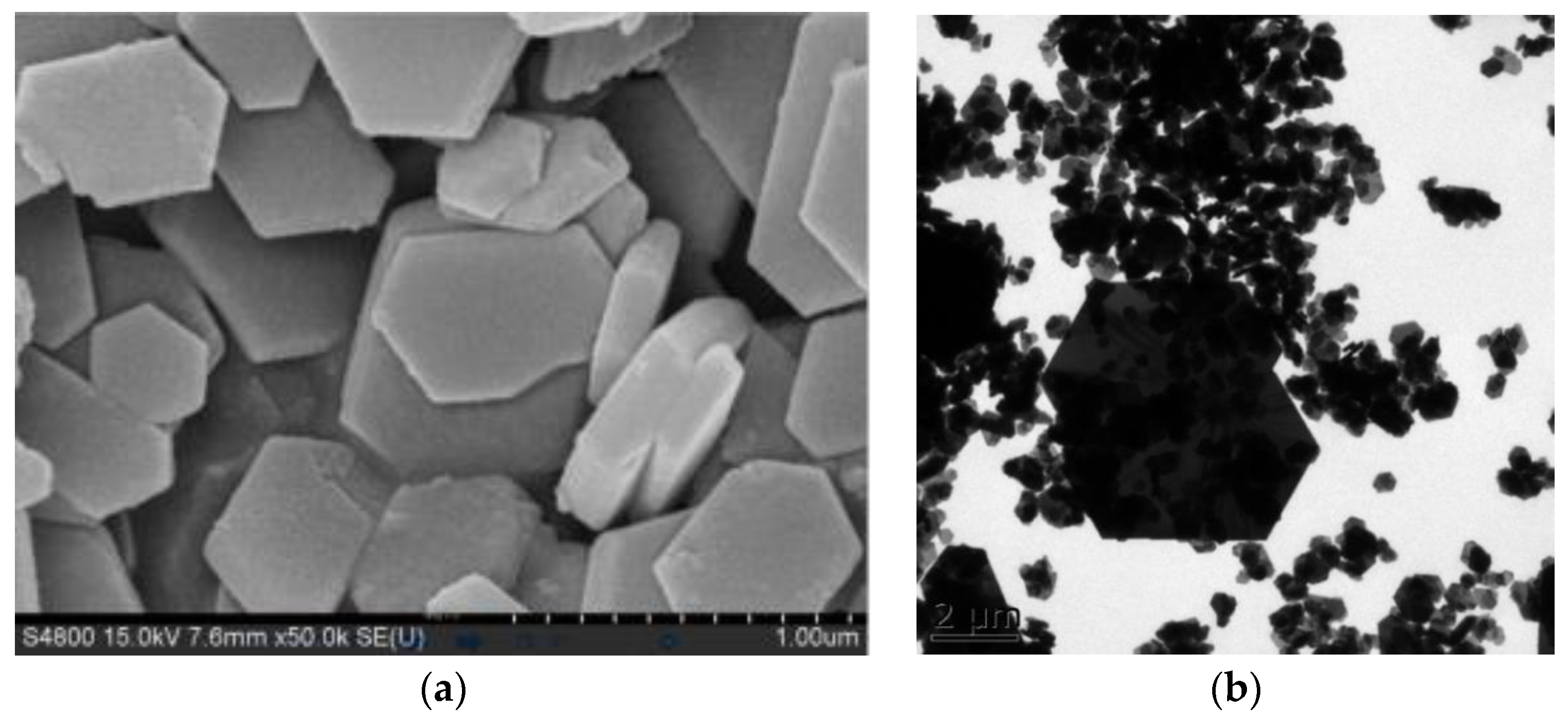 Processes 11 03238 g004
