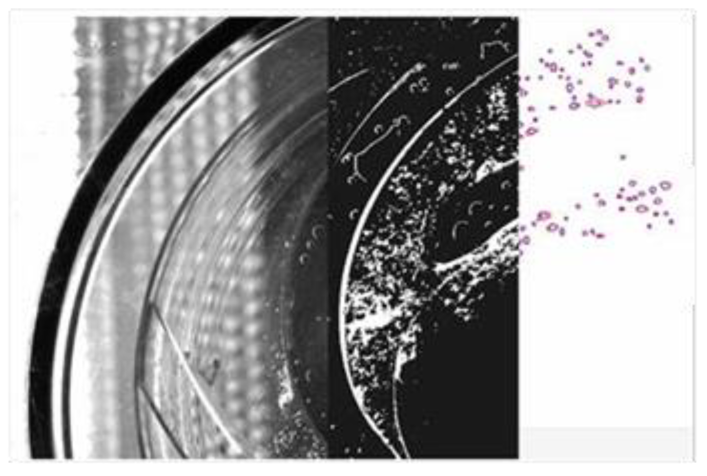 Processes 11 03314 g004