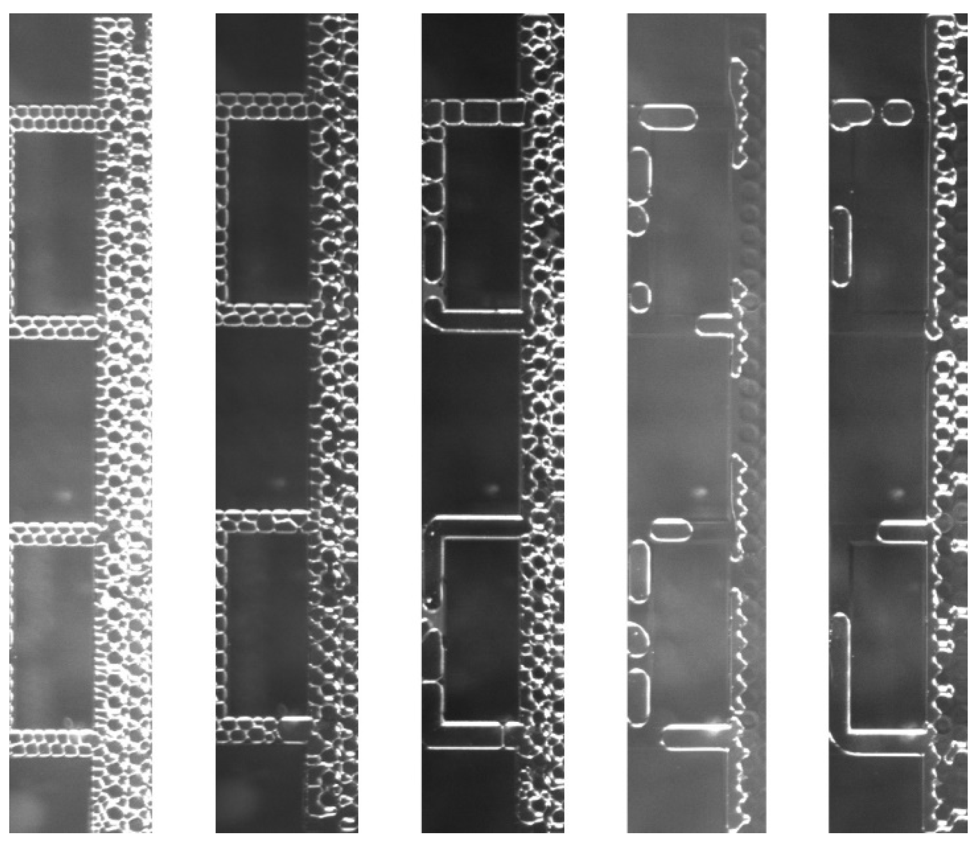 Processes 11 03322 g008 Processes 11 03322 g008