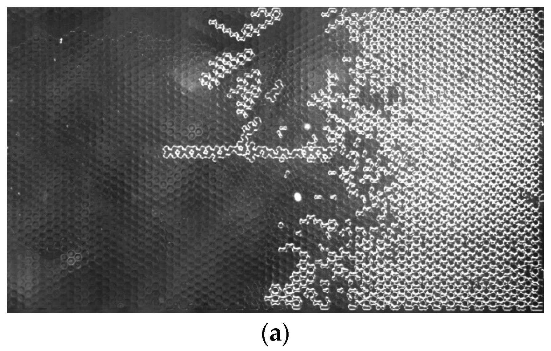Processes 11 03322 g035a Processes 11 03322 g035a