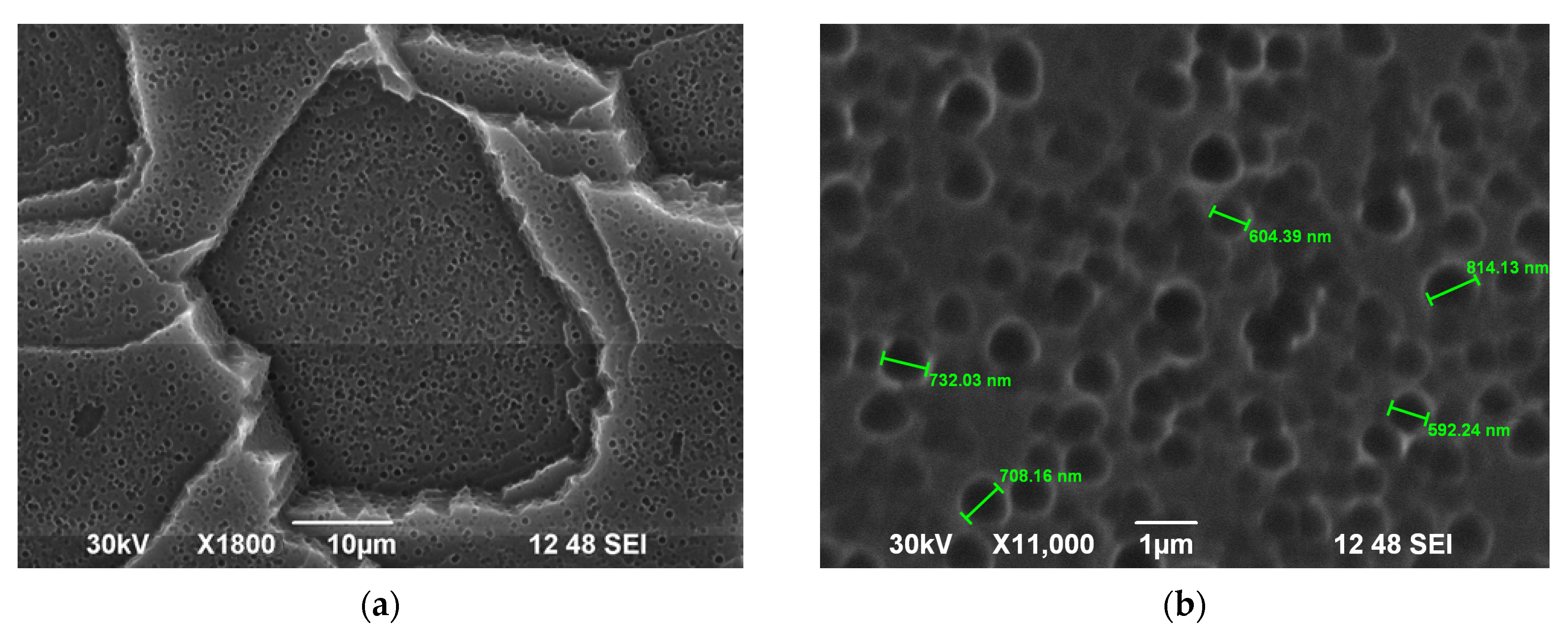 Processes 11 03332 g002a