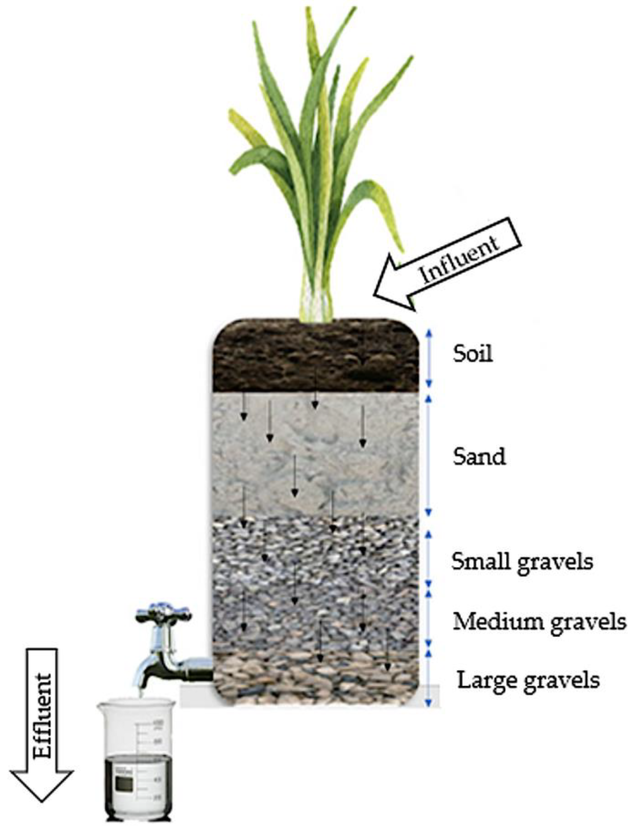 Processes 11 03334 g002