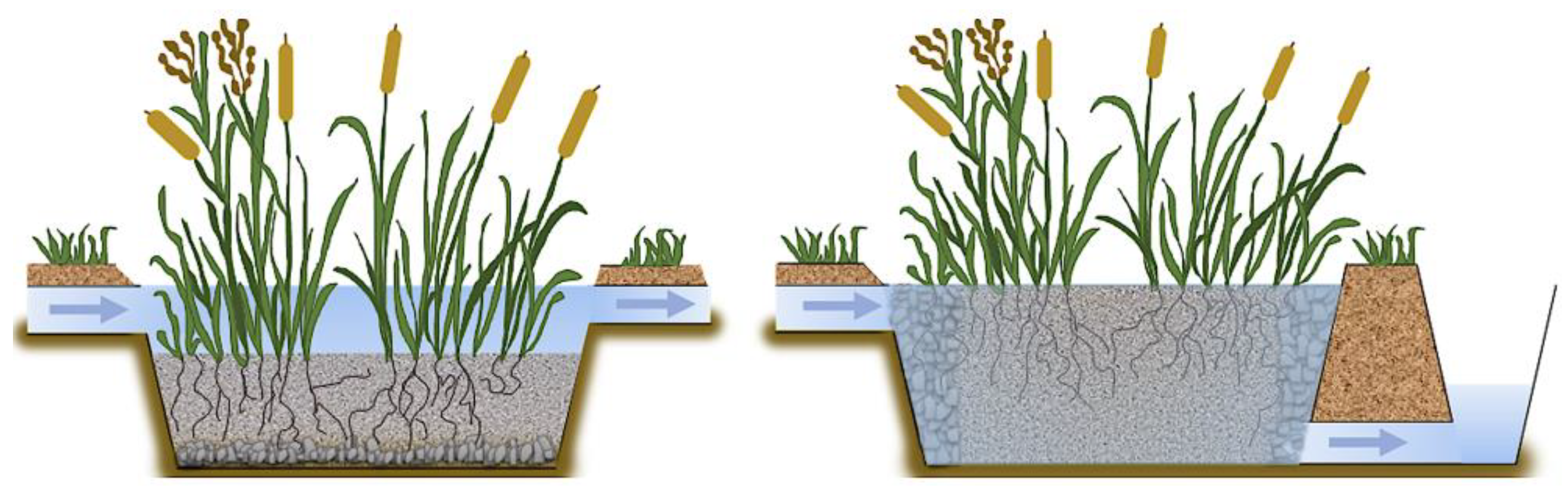 Processes 11 03334 g003