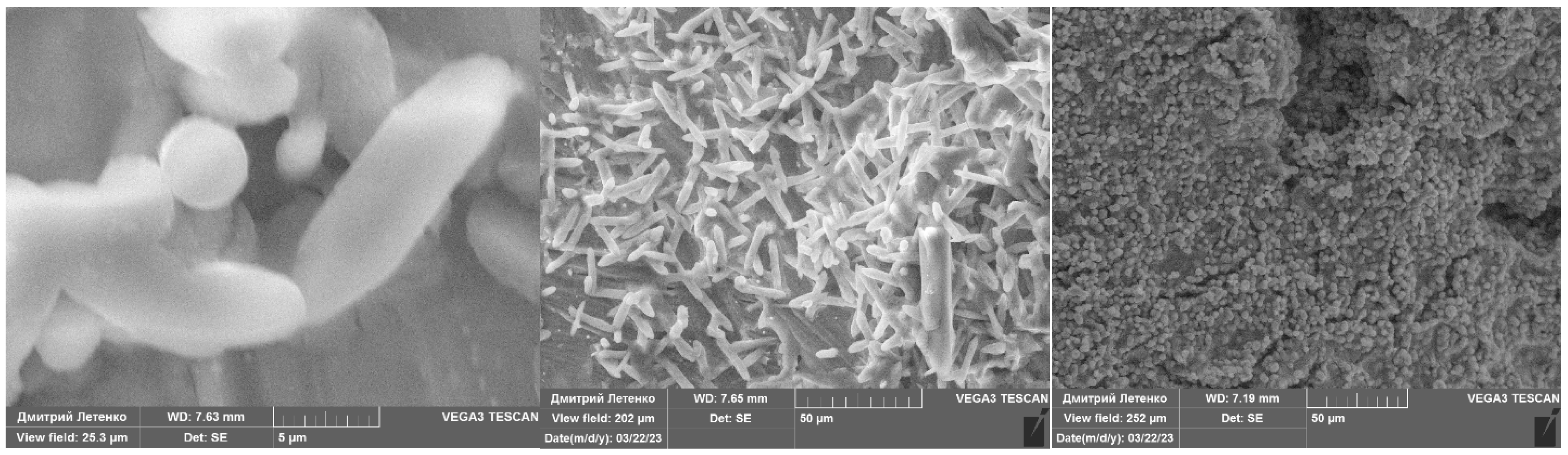 Processes 11 03354 g001