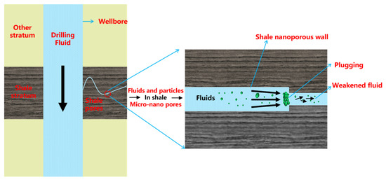 Tribological Effects of Quaternary Ammonium-Functionalized
