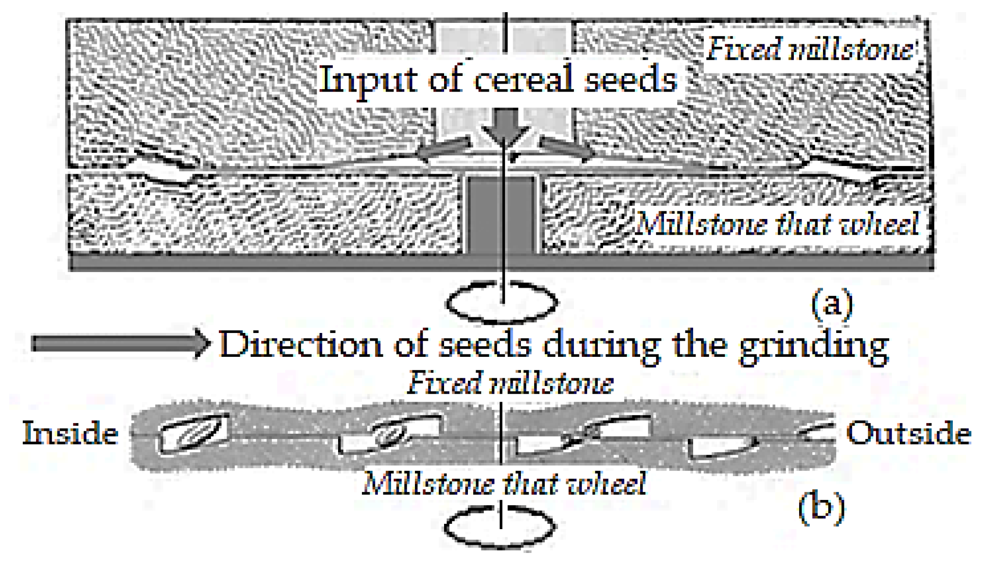 Processes 11 03376 g002