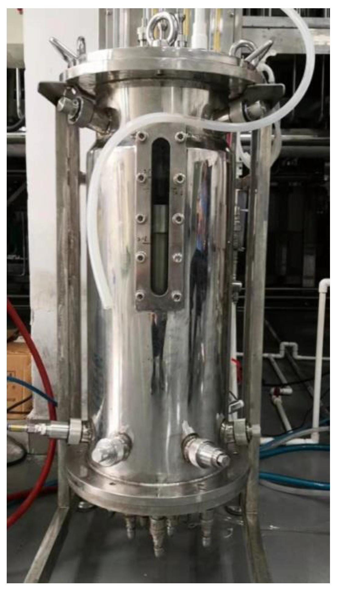 Processes 11 03391 g001