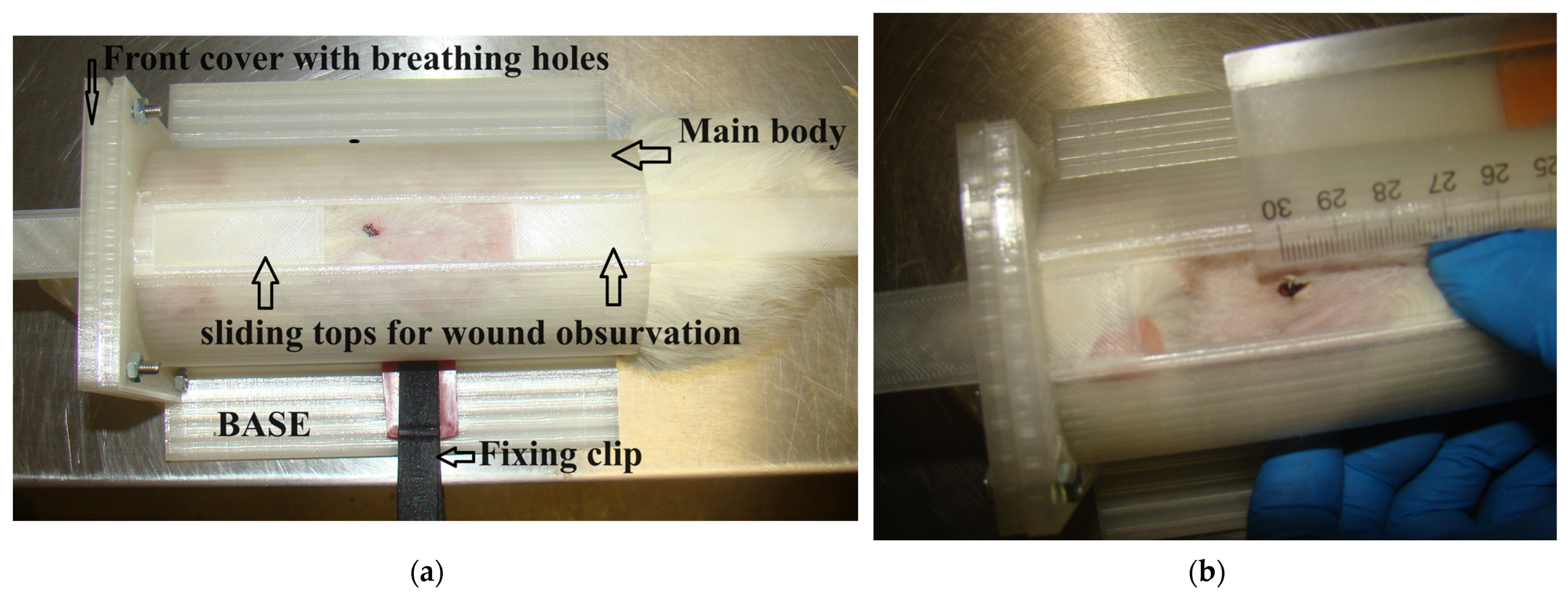 Processes 11 03399 g002