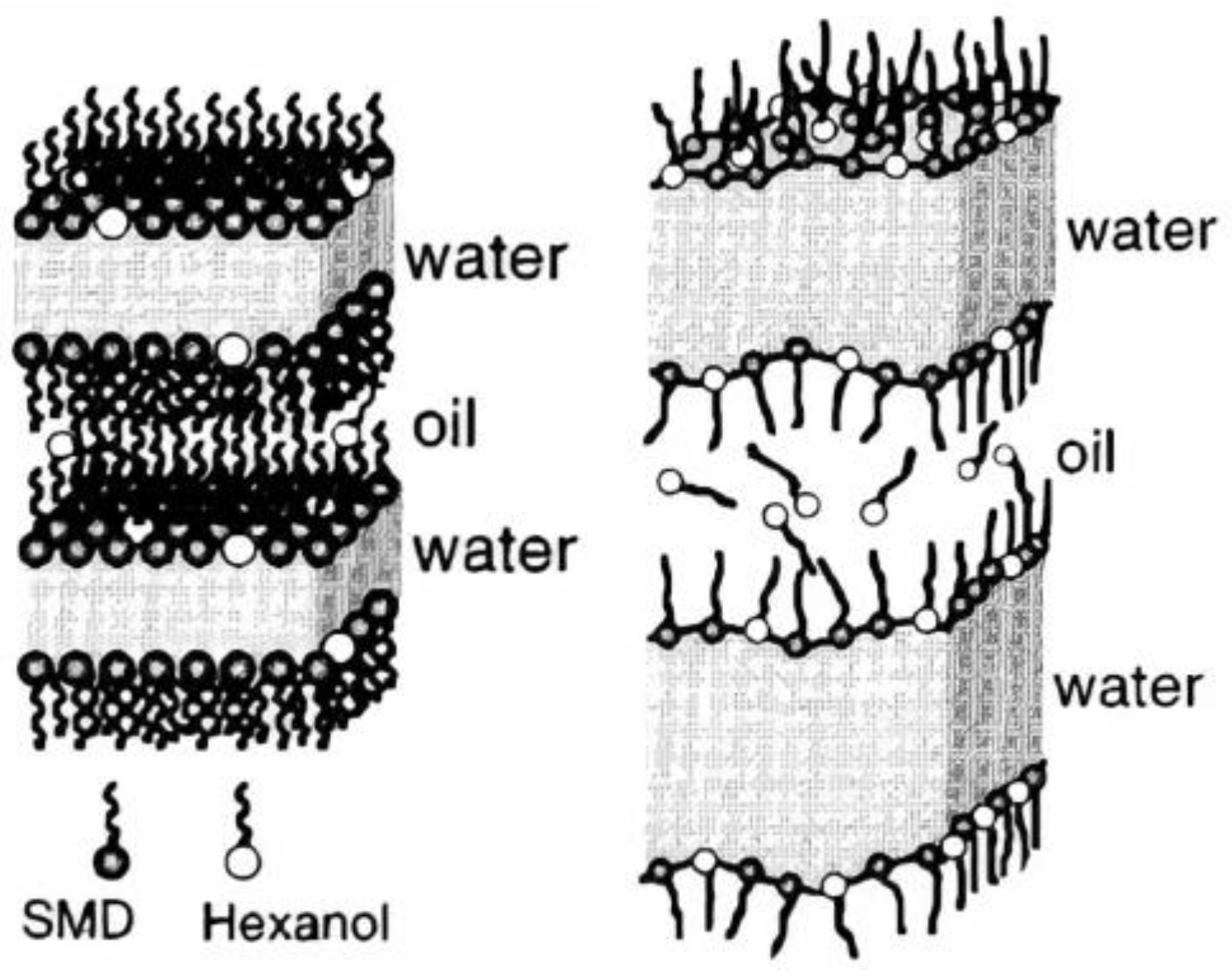 Processes 11 03409 g003