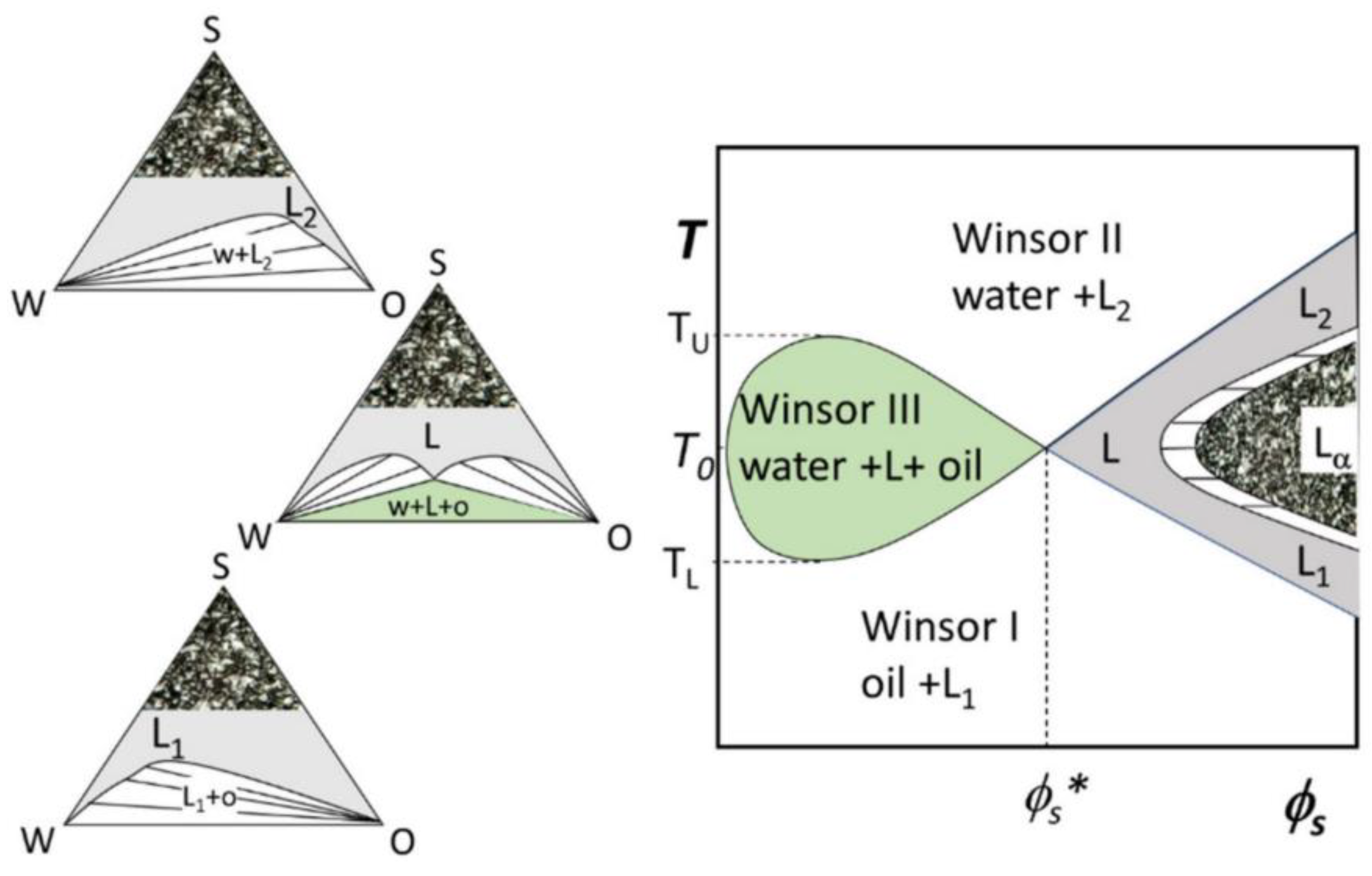Processes 11 03409 g007