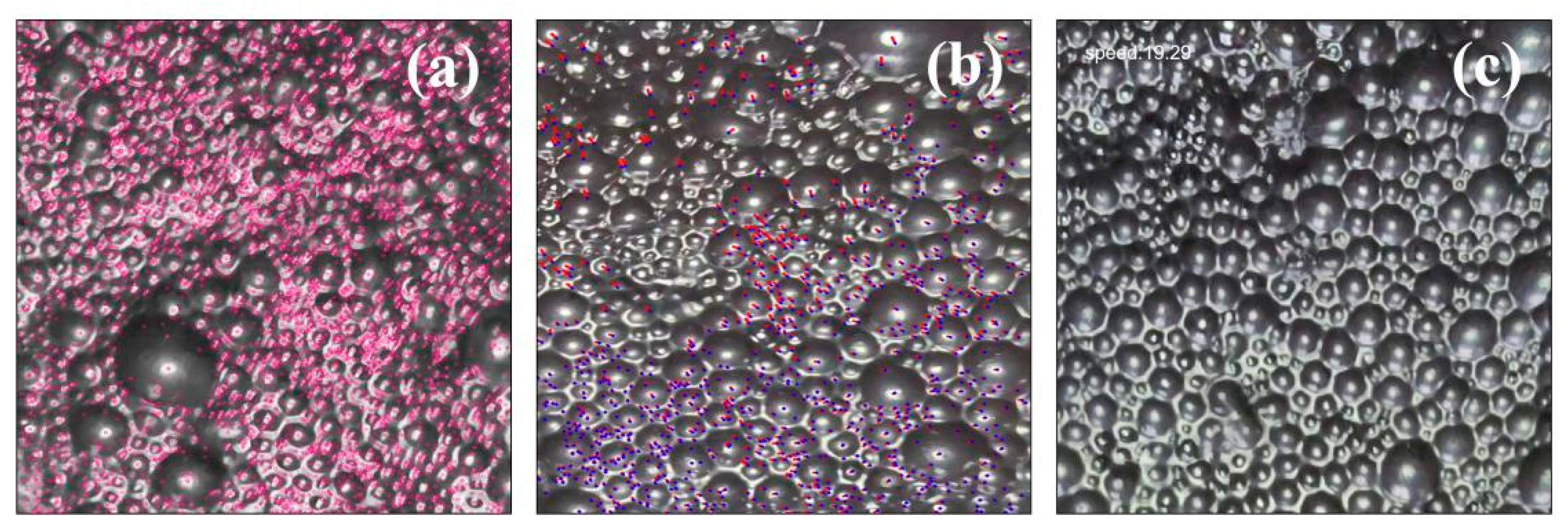 Processes 11 03425 g002