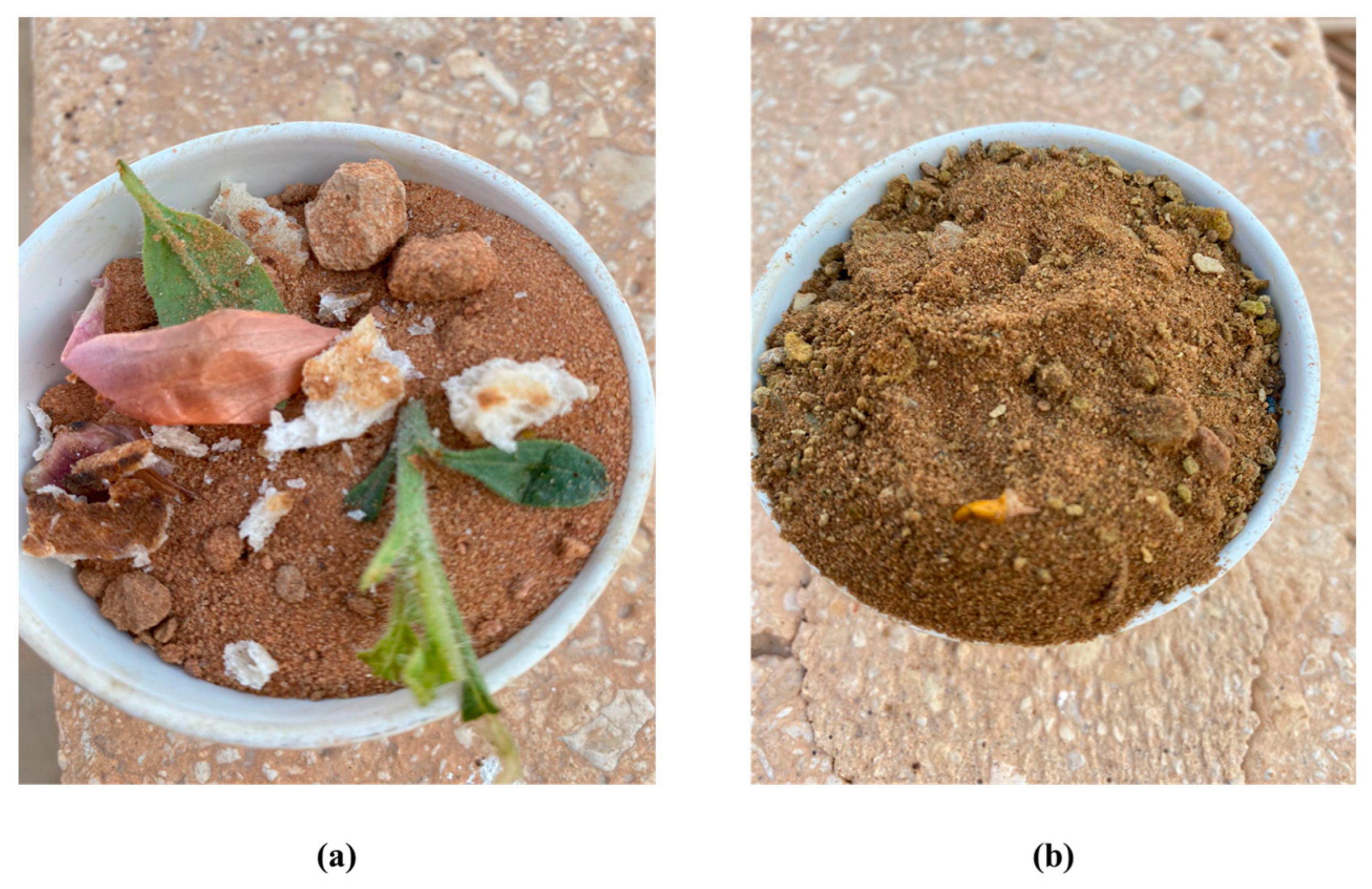 Processes 11 03427 g002