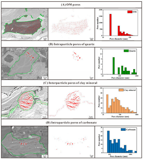 DRIVE 1993～2009 -GLAY complete BEST Differential Development Mechanisms of Pore Types under the