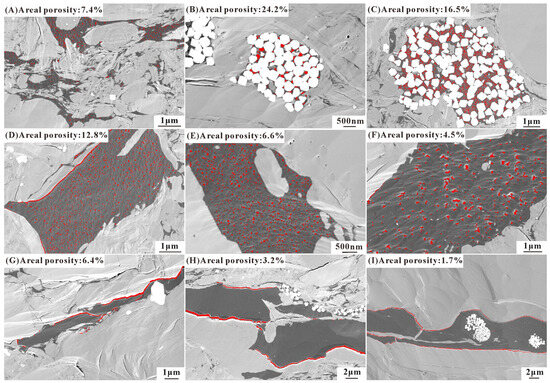 Differential Development Mechanisms of Pore Types under the