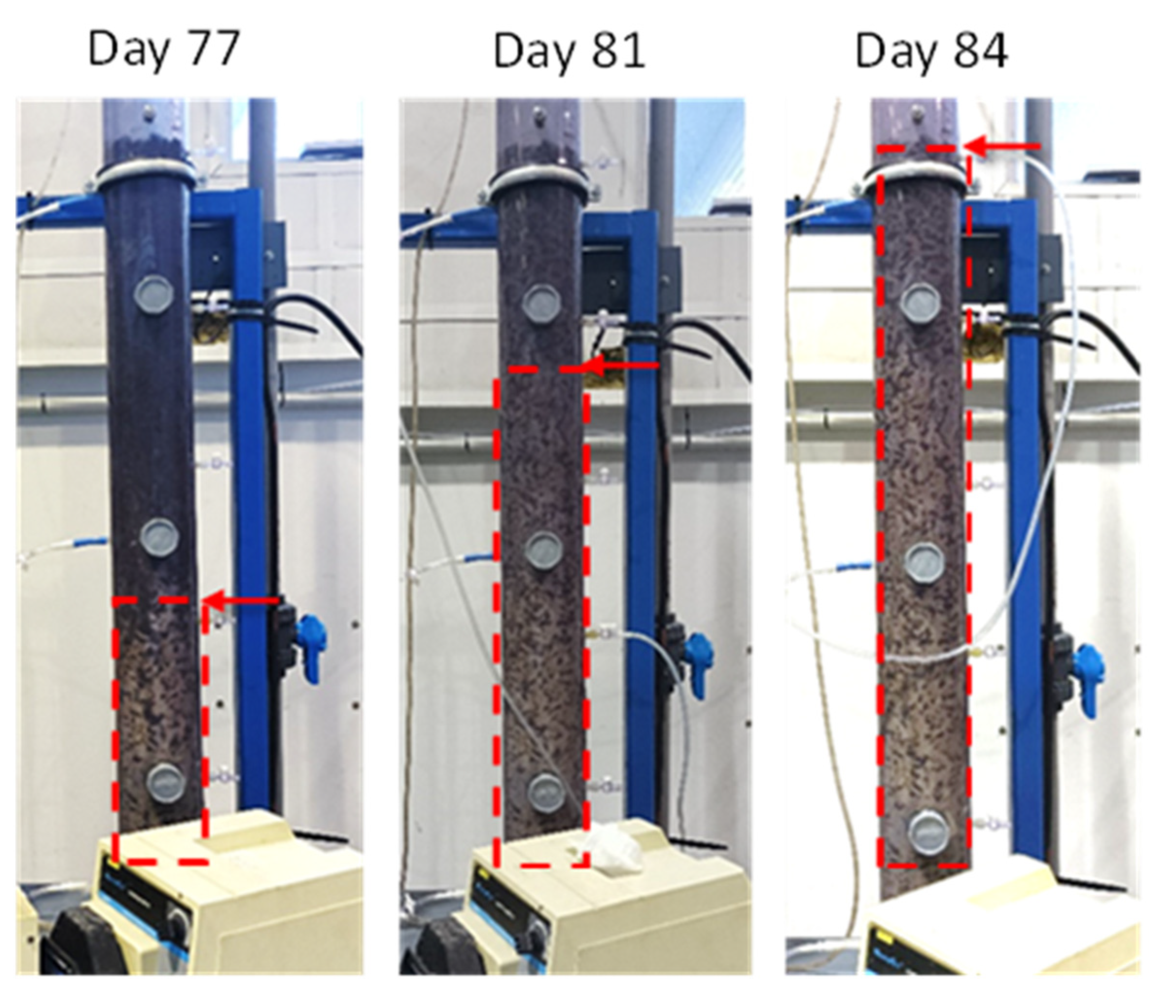 Processes 11 03438 g004