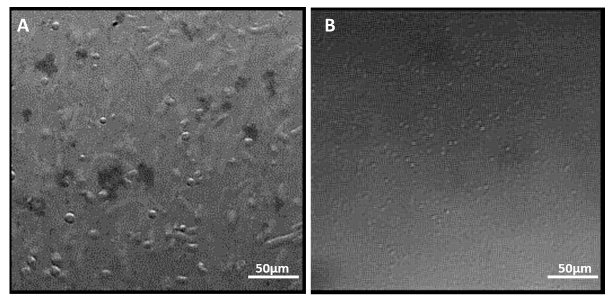 Processes 12 00003 g007