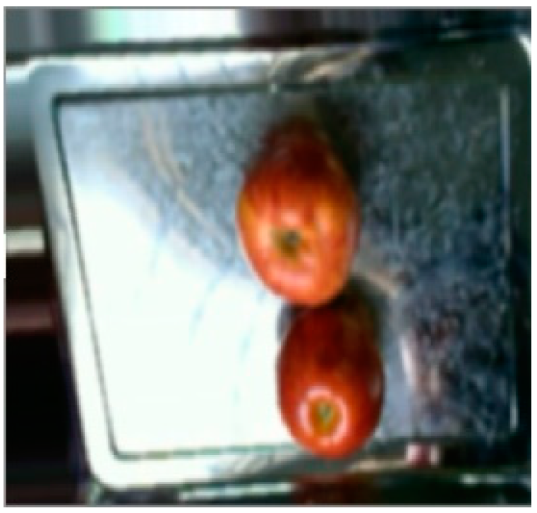 Processes 12 00015 g008