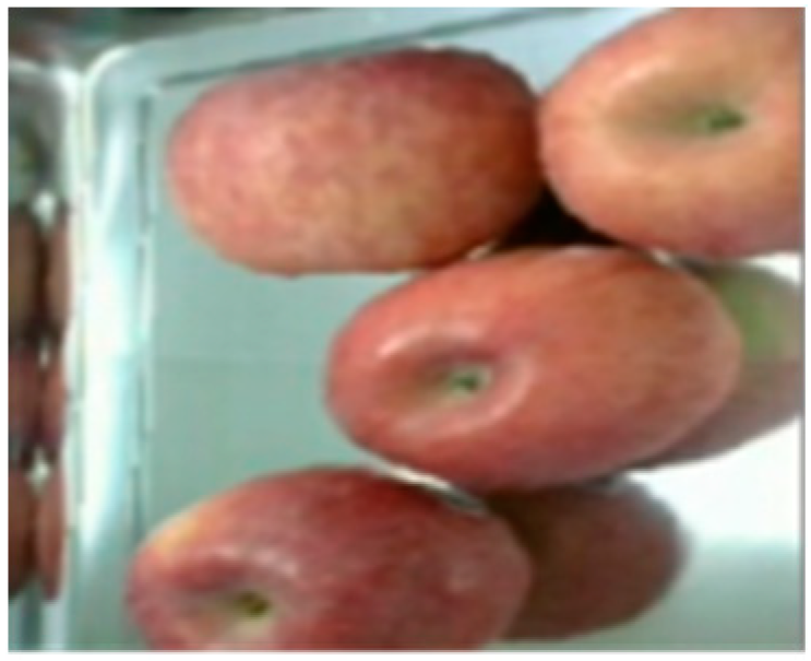 Processes 12 00015 g013