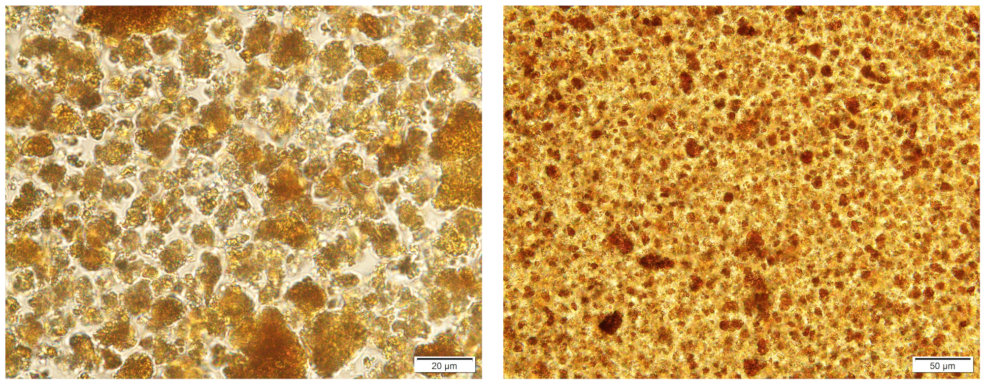 Processes 12 00017 g001