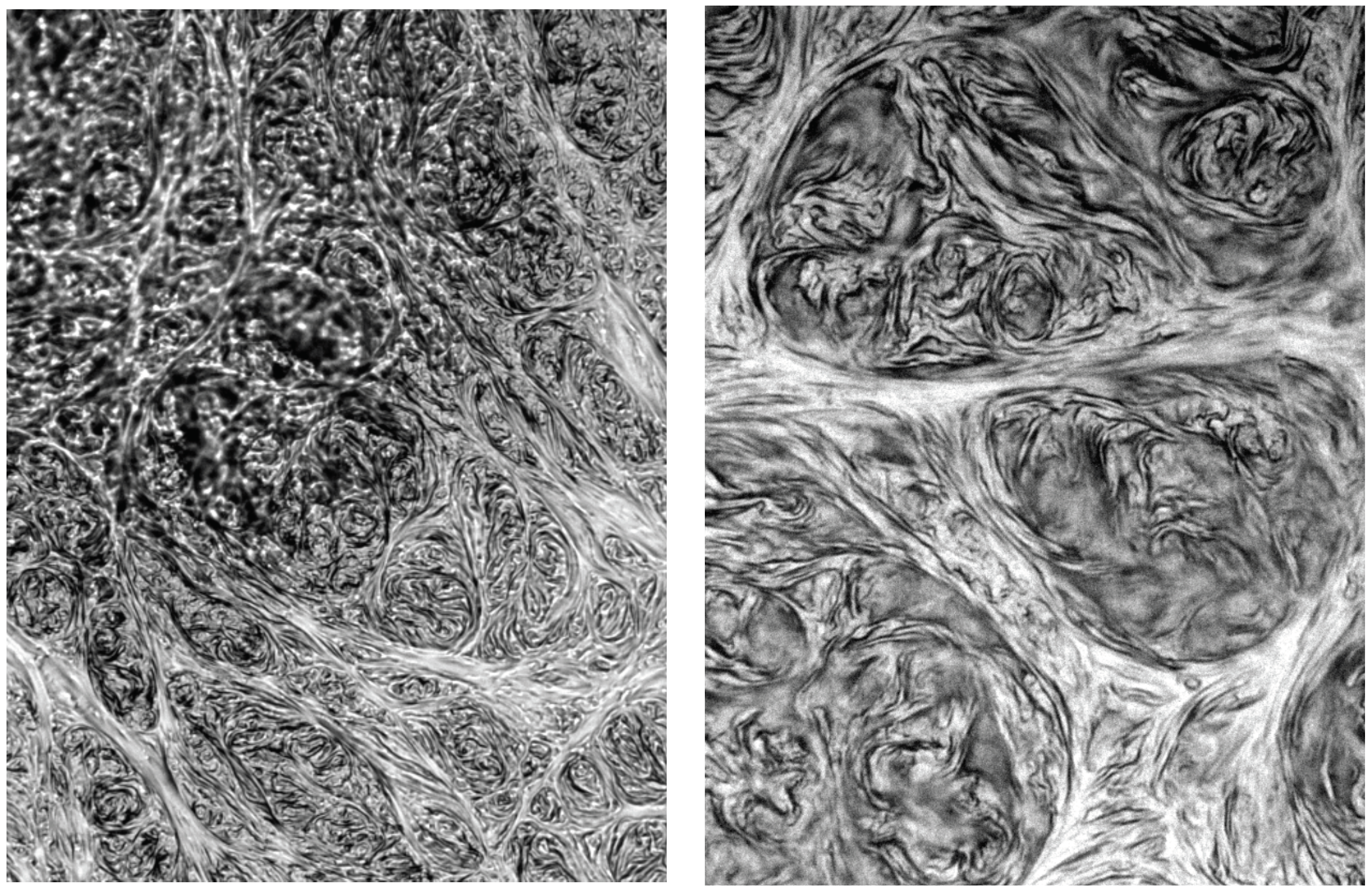 Processes 12 00017 g002