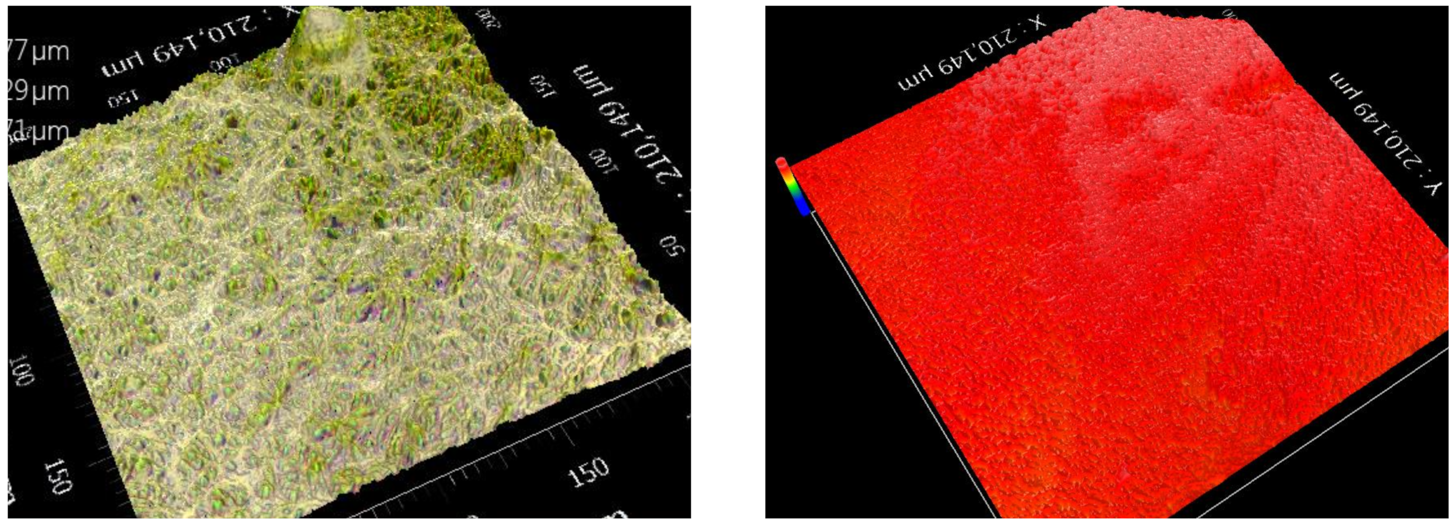 Processes 12 00017 g007