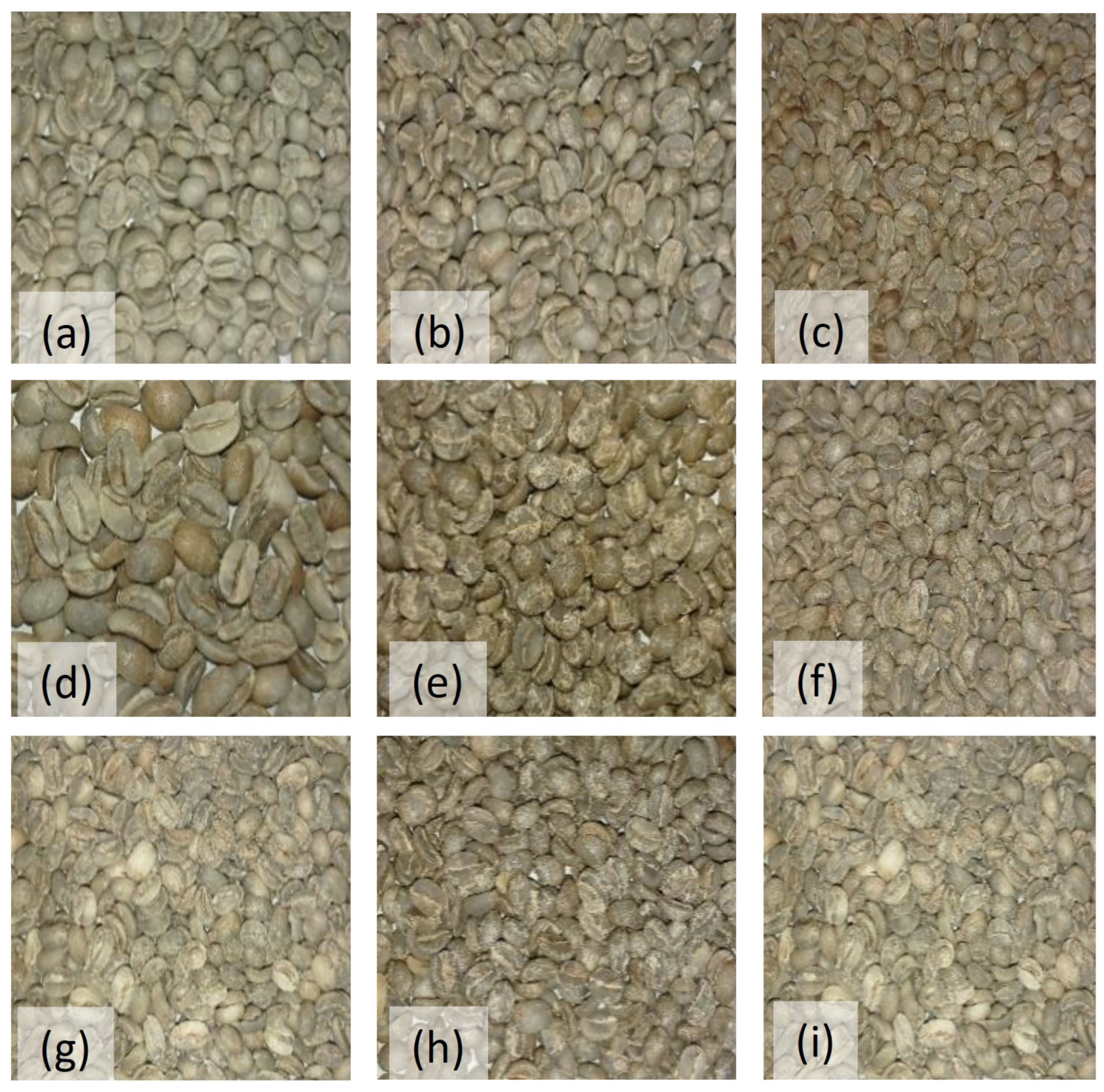 Processes 12 00018 g002