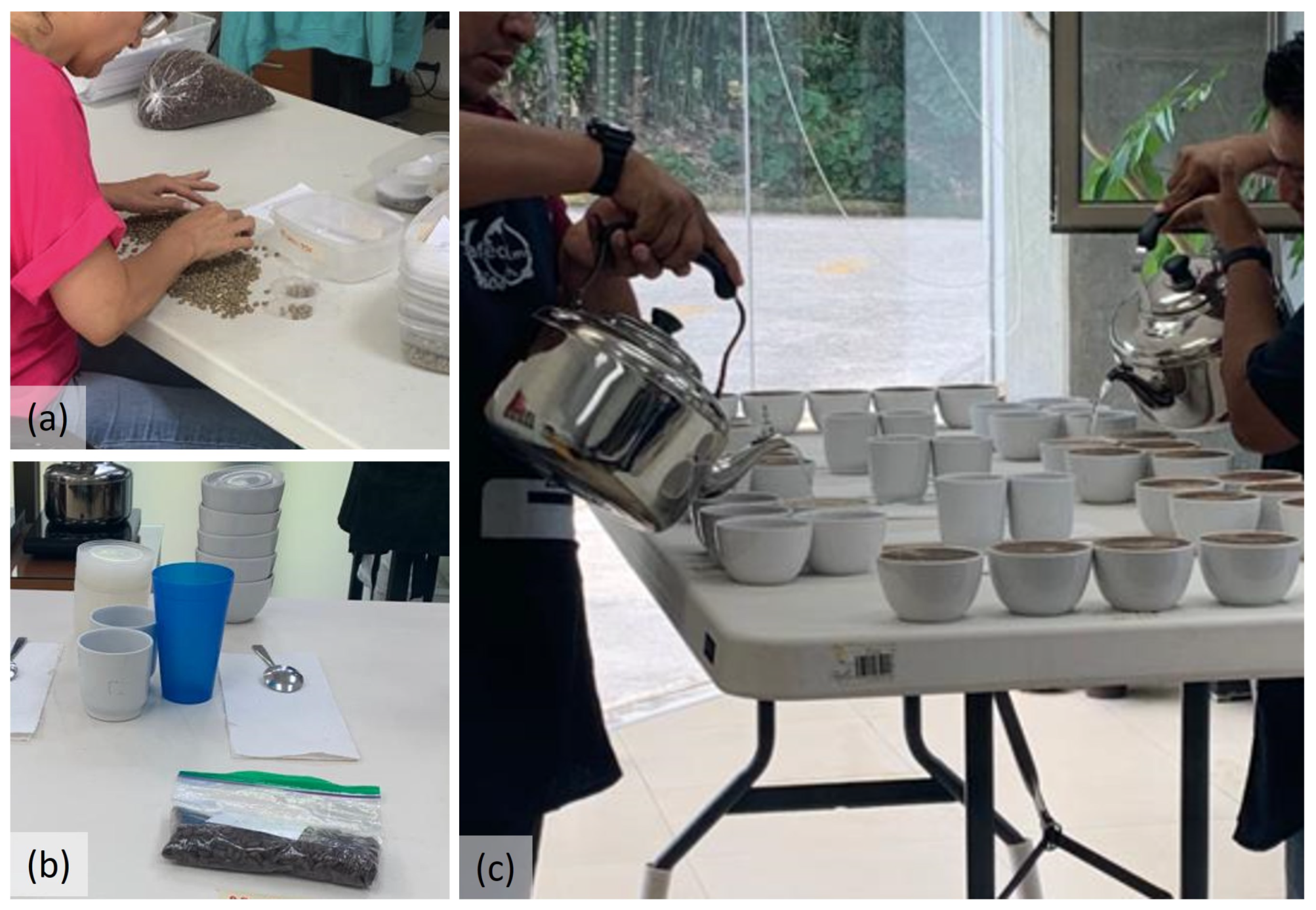 Processes 12 00018 g003