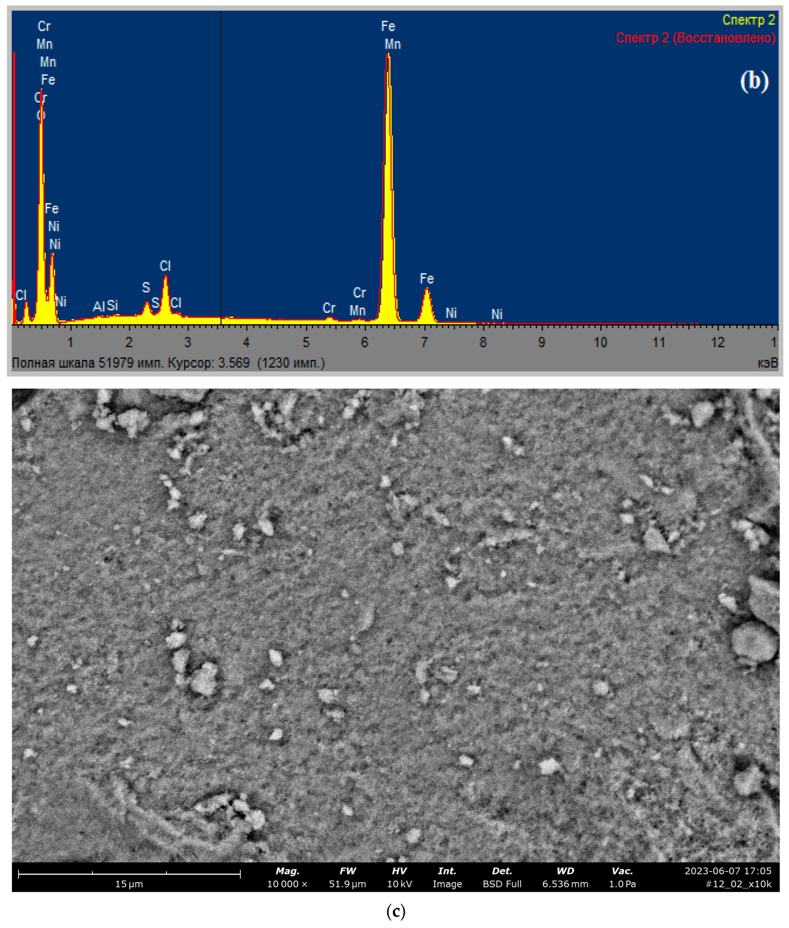 Processes 12 00029 g002b