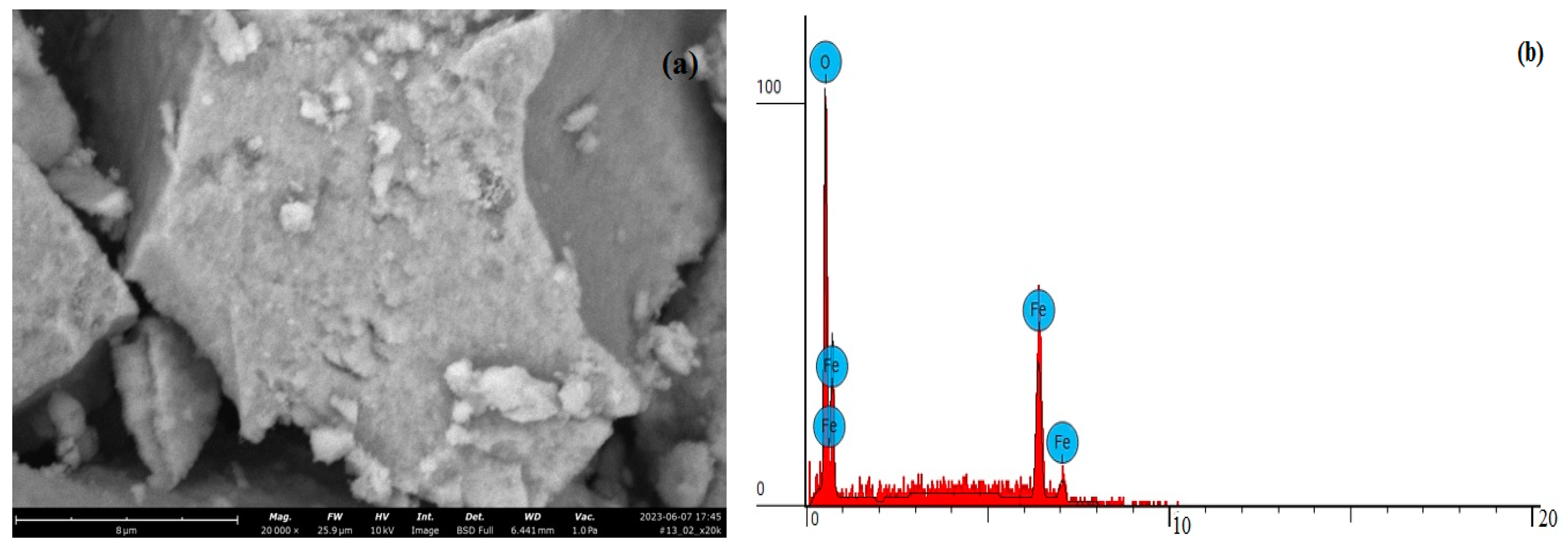 Processes 12 00029 g005
