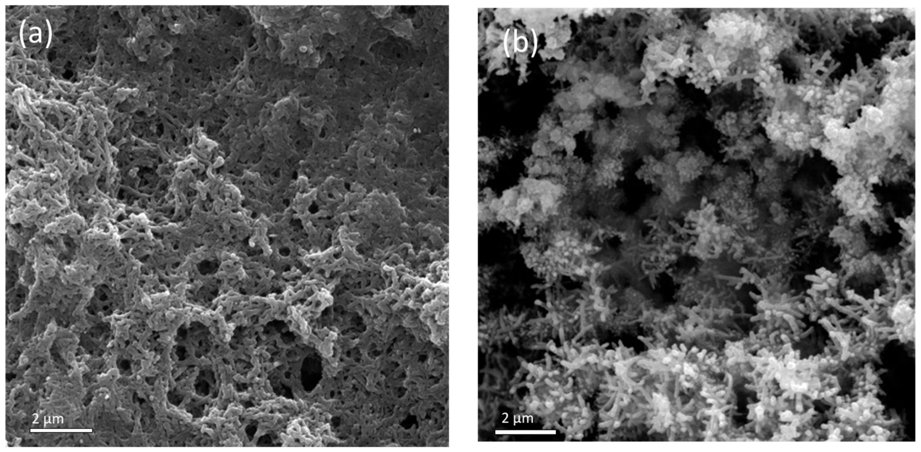 Processes 12 00031 g008