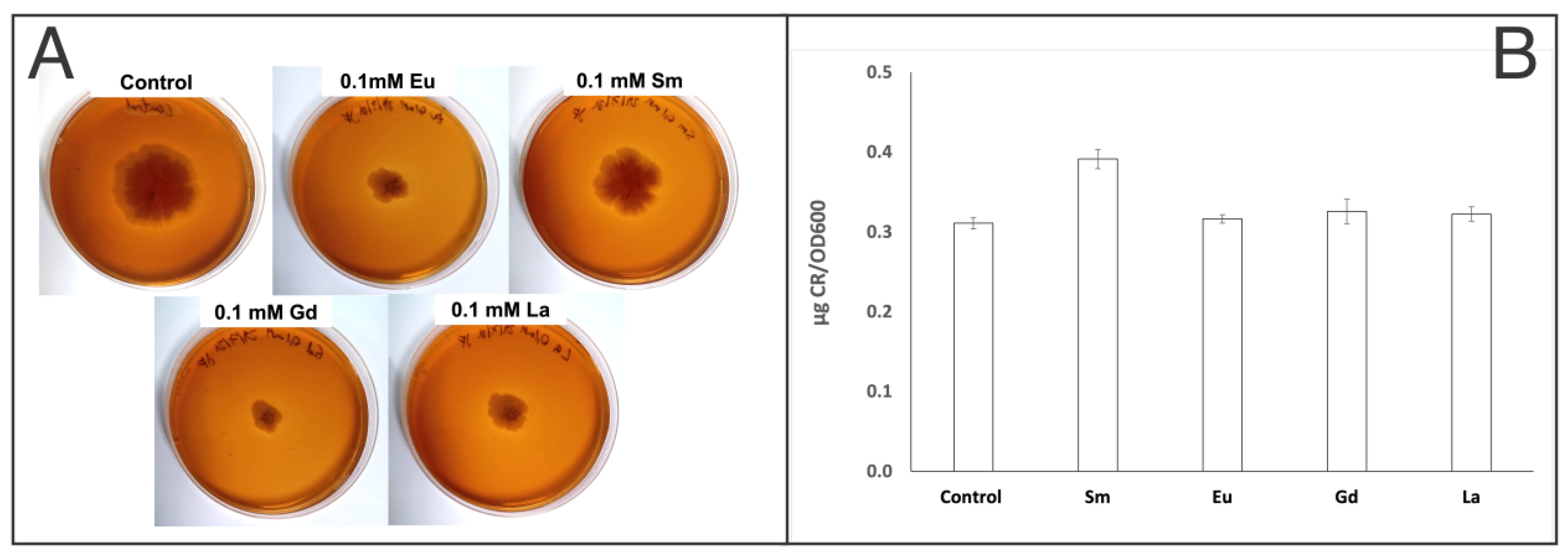 Processes 12 00047 g002